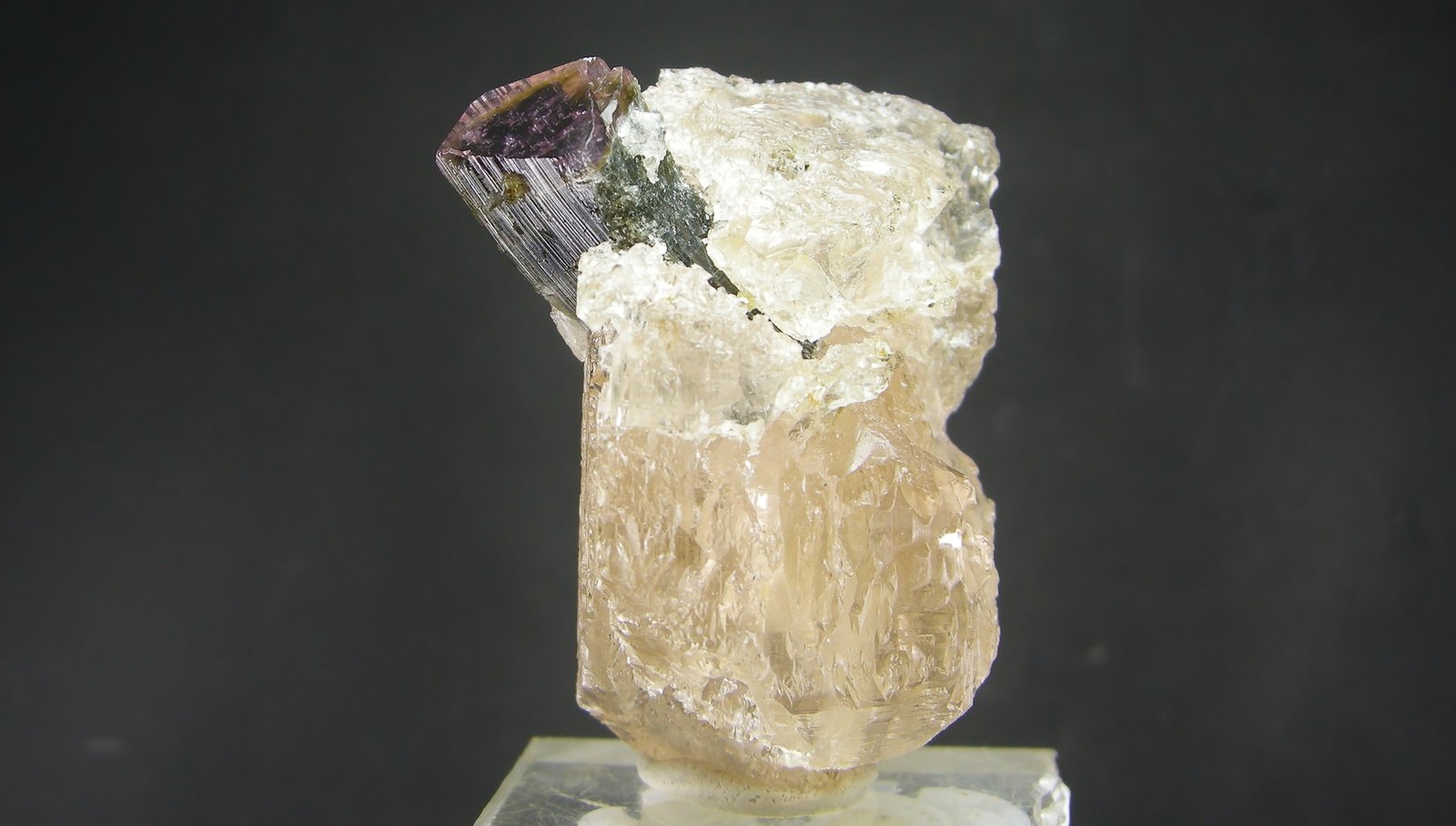 Elbaita, Topacio
5.3 x 4 cm
(Autor: Diego Navarro)