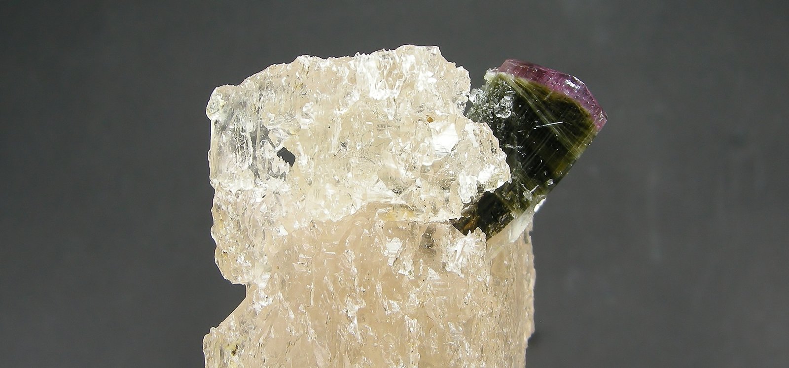 Elbaita, Topacio
5.3 x 4 cm
(Autor: Diego Navarro)