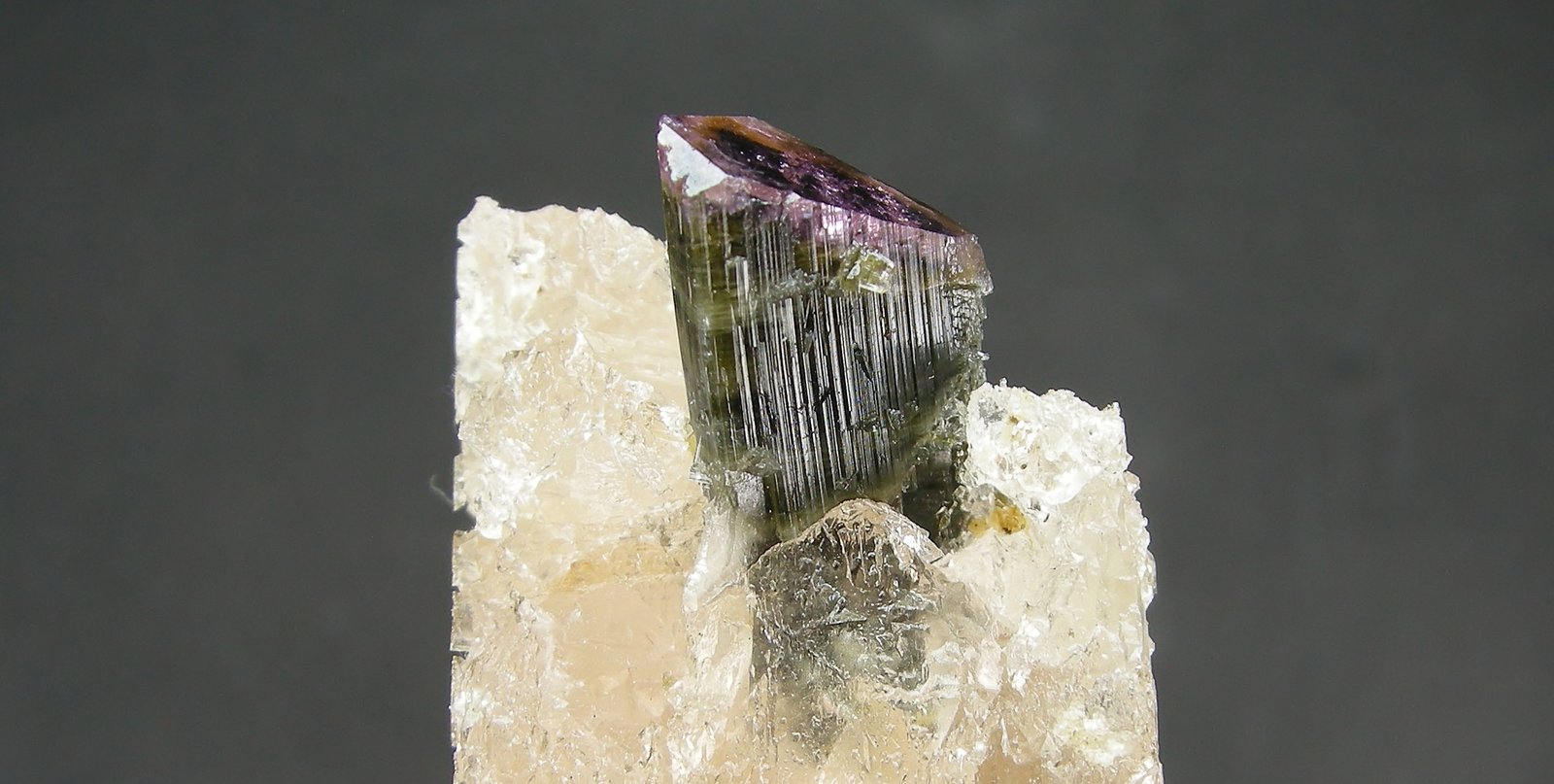 Elbaita, Topacio
5.3 x 4 cm
(Autor: Diego Navarro)