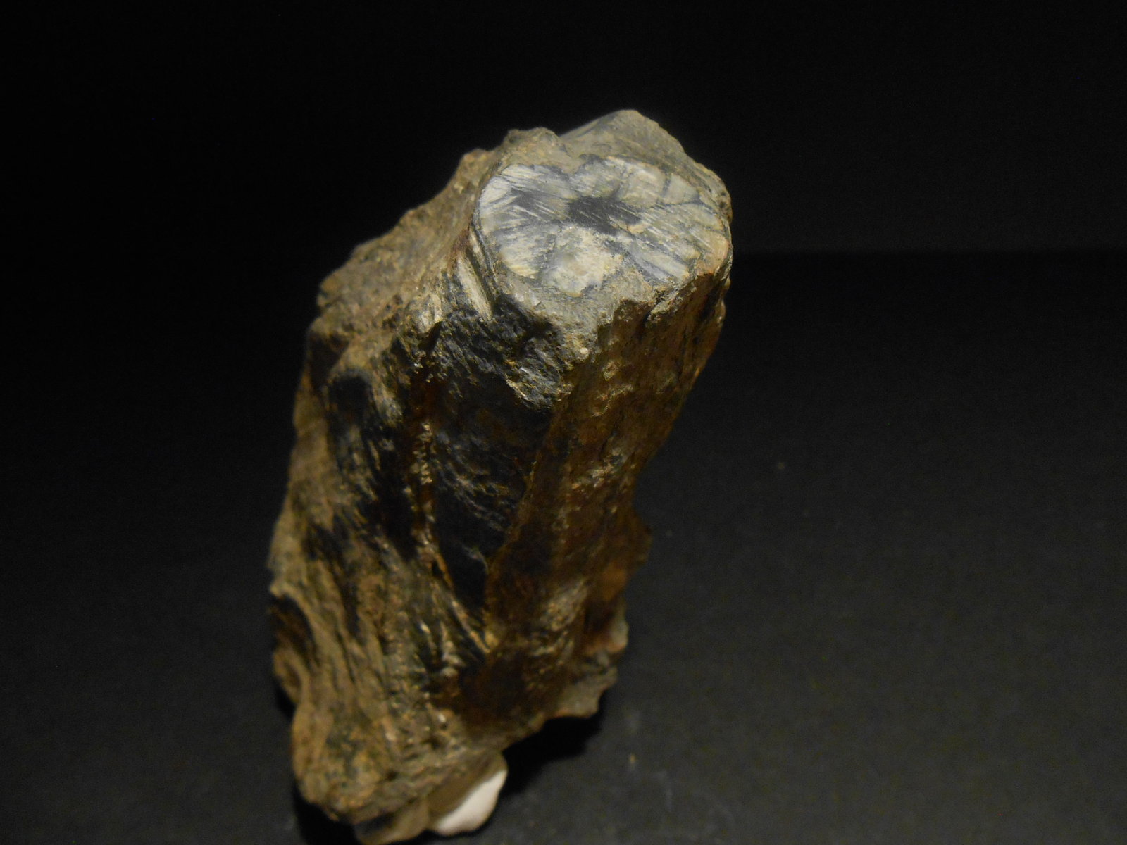 Andalucita (variedad quiastolita)
11 x 8 x 5 cm
(Autor: Antonio Alcaide)
