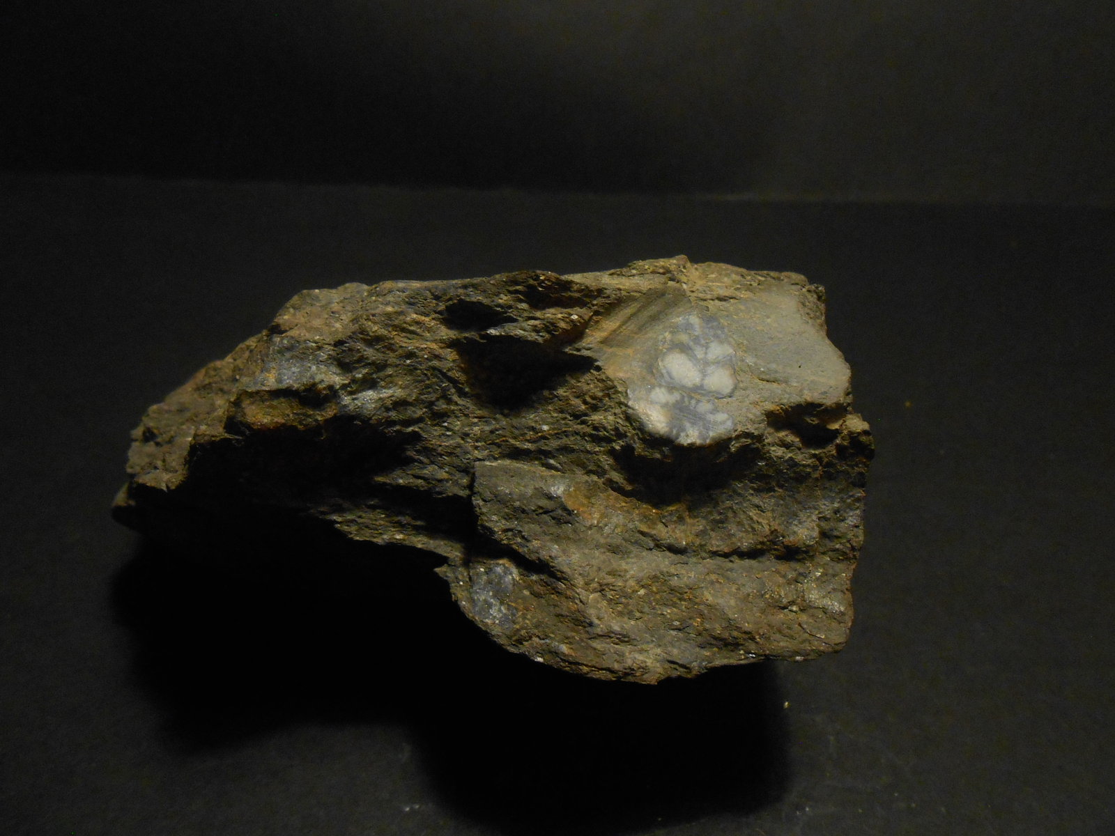 Andalucita (variedad quiastolita)
11 x 8 x 5 cm
(Autor: Antonio Alcaide)