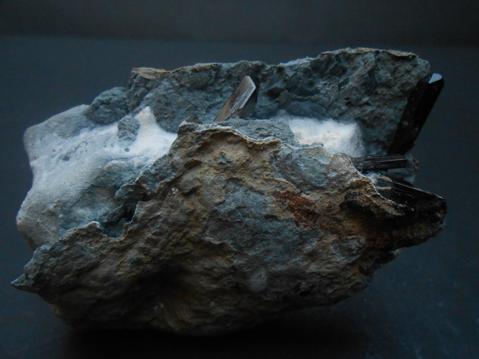 Neptunita
9 x 6 x 2,5 cm
(Autor: Antonio Alcaide)