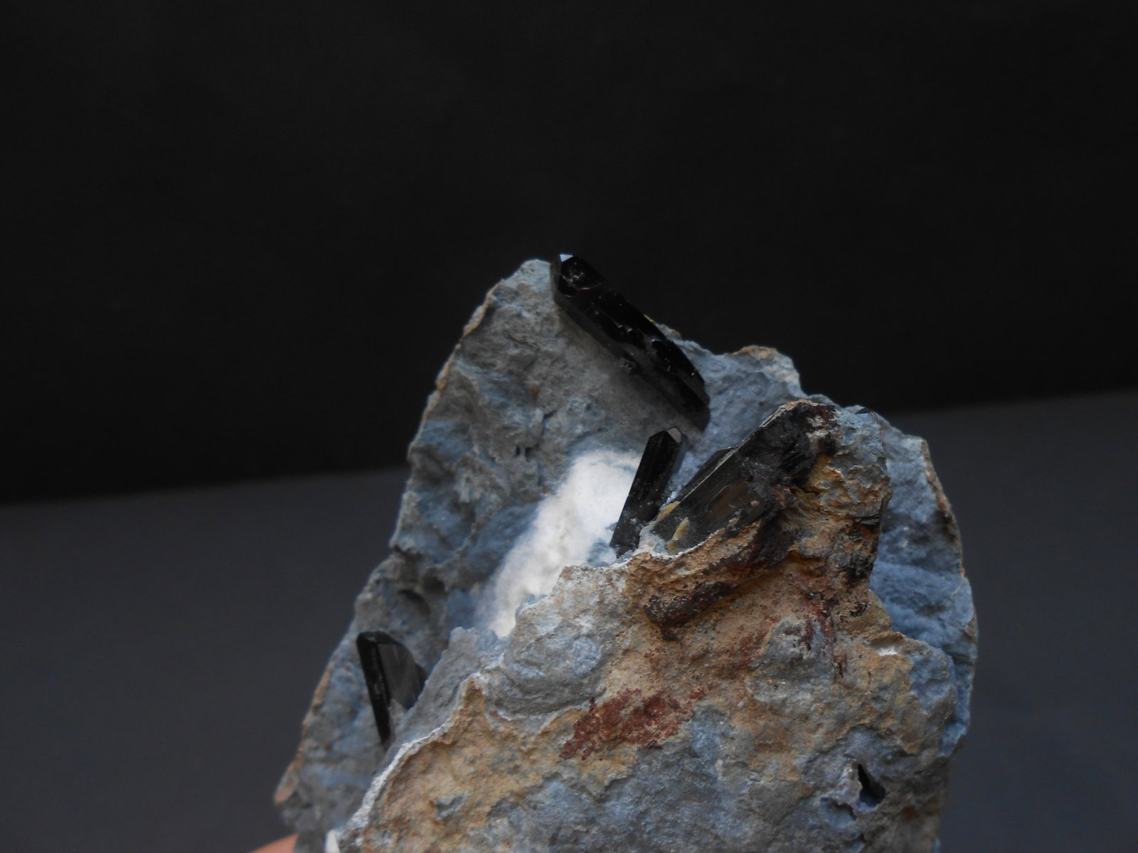 Neptunita
9 x 6 x 2,5 cm
(Autor: Antonio Alcaide)