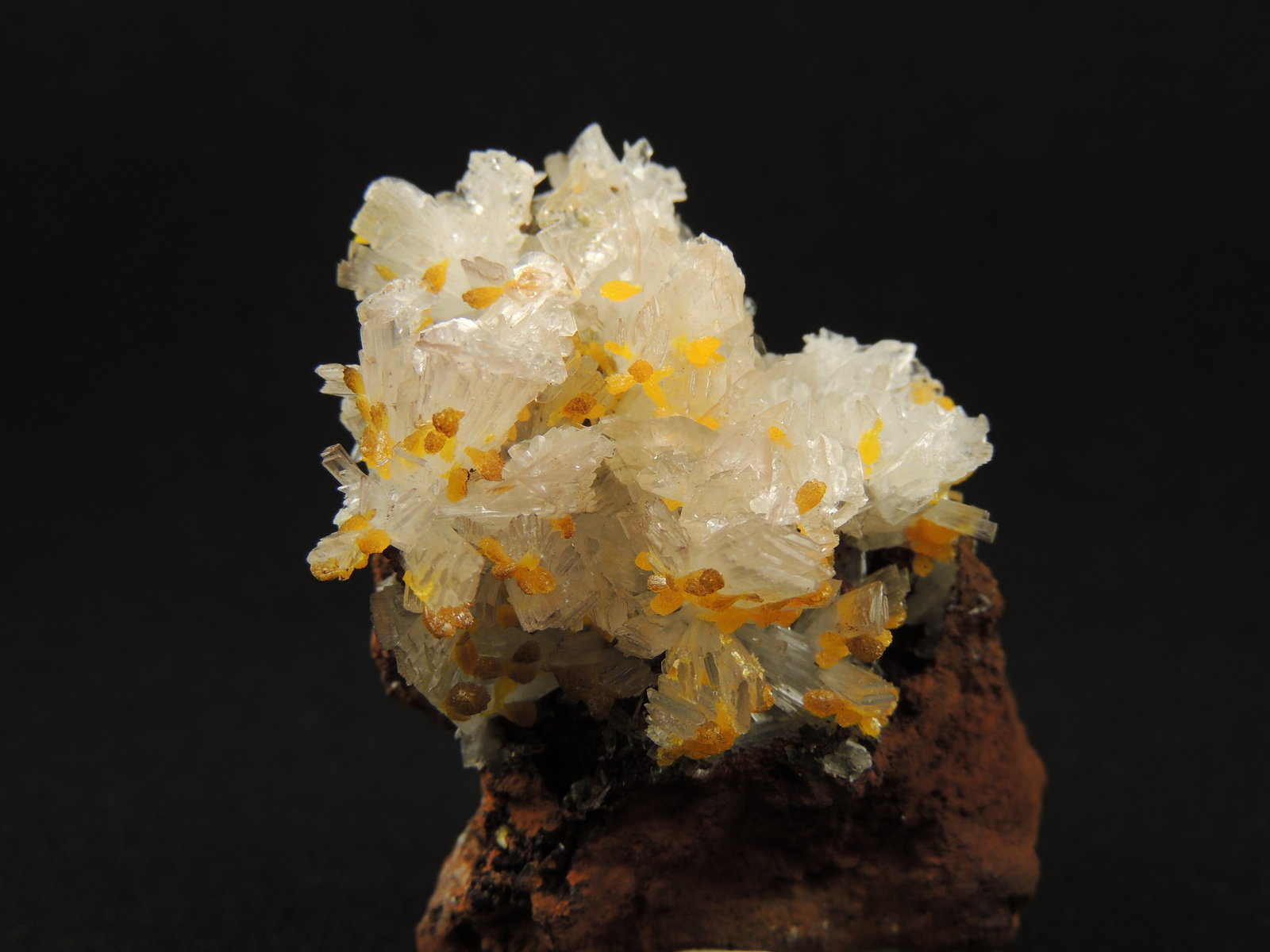 Hemimorfita, Wulfenita
5.8 x 4.5 x 3 centimetros
(Autor: Ricardo Melendez)