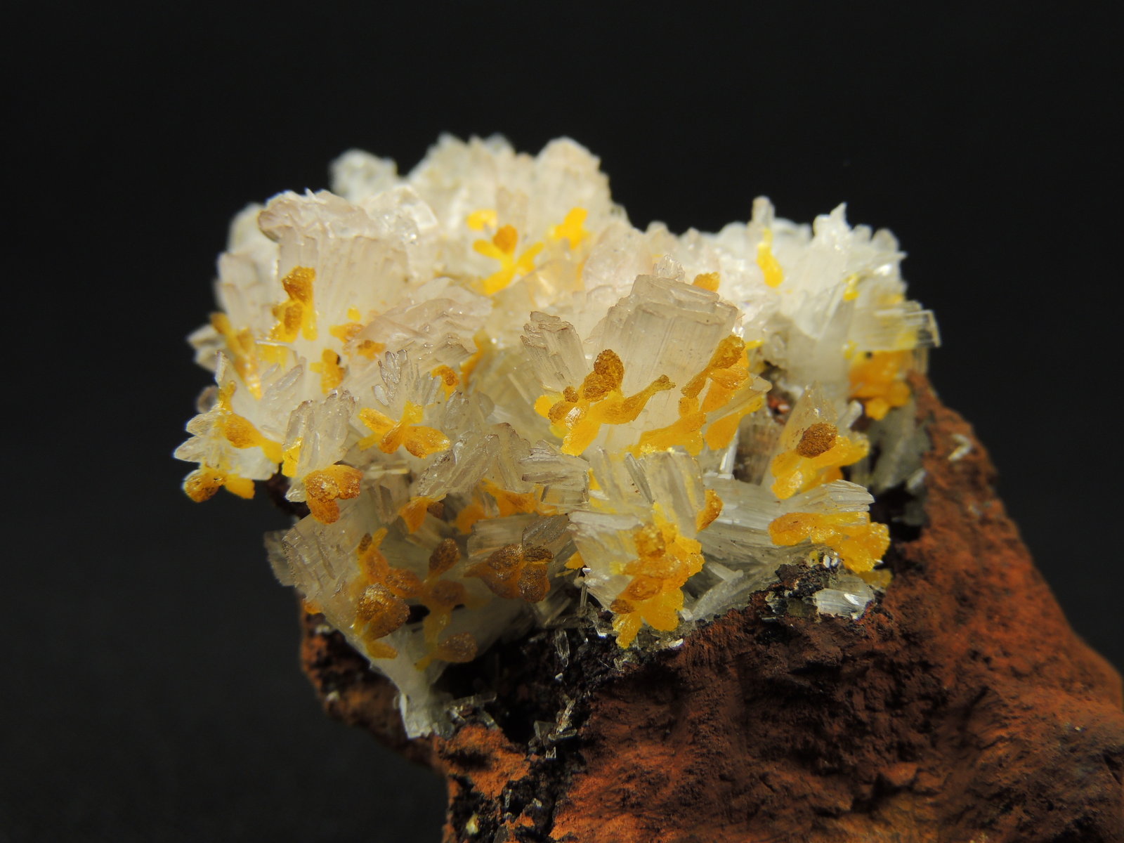 Hemimorfita, Wulfenita
5.8 x 4.5 x 3 centimetros
(Autor: Ricardo Melendez)
