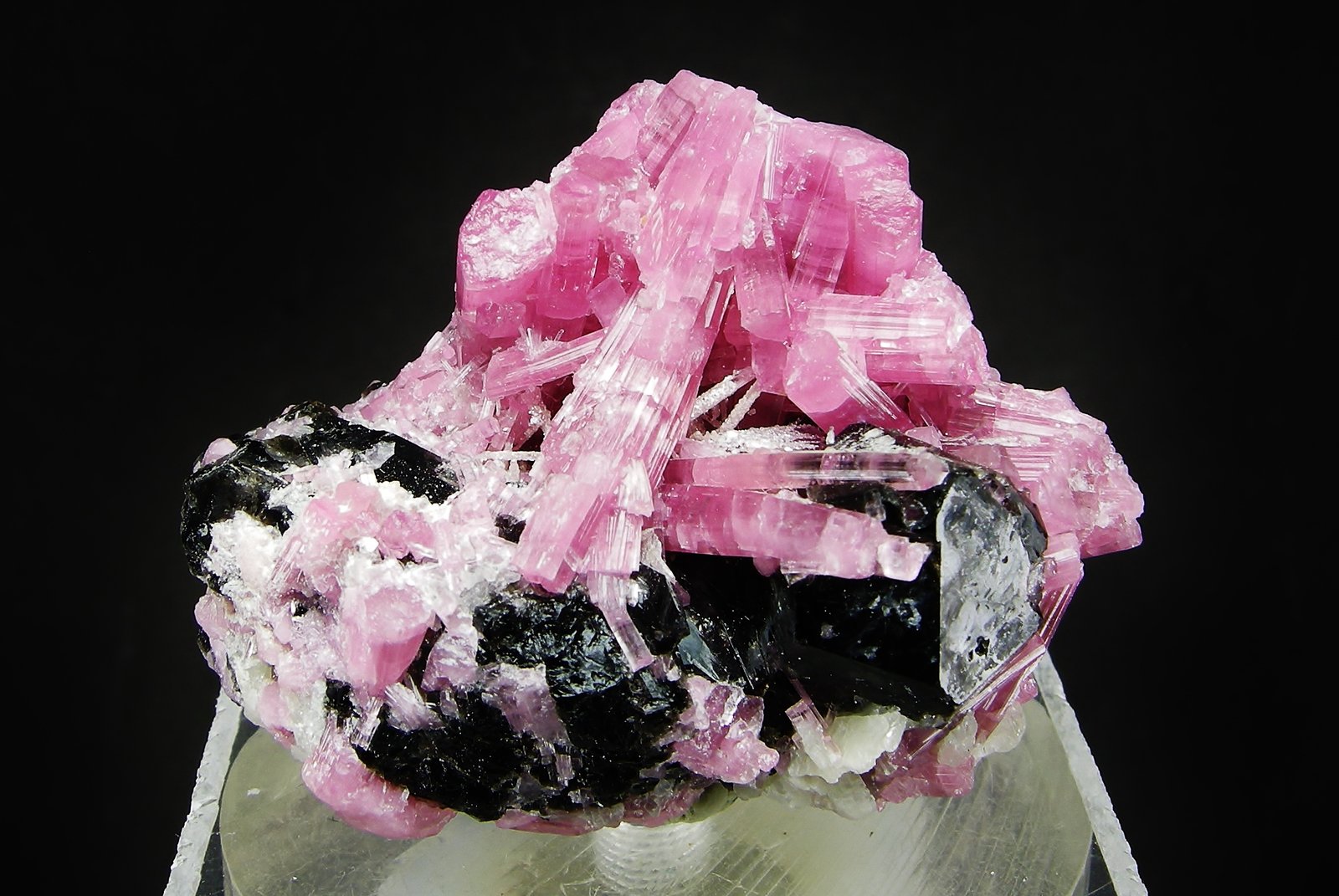 Elbaita (variedad rubelita)
4.6 x 3.5 cm
(Autor: Diego Navarro)