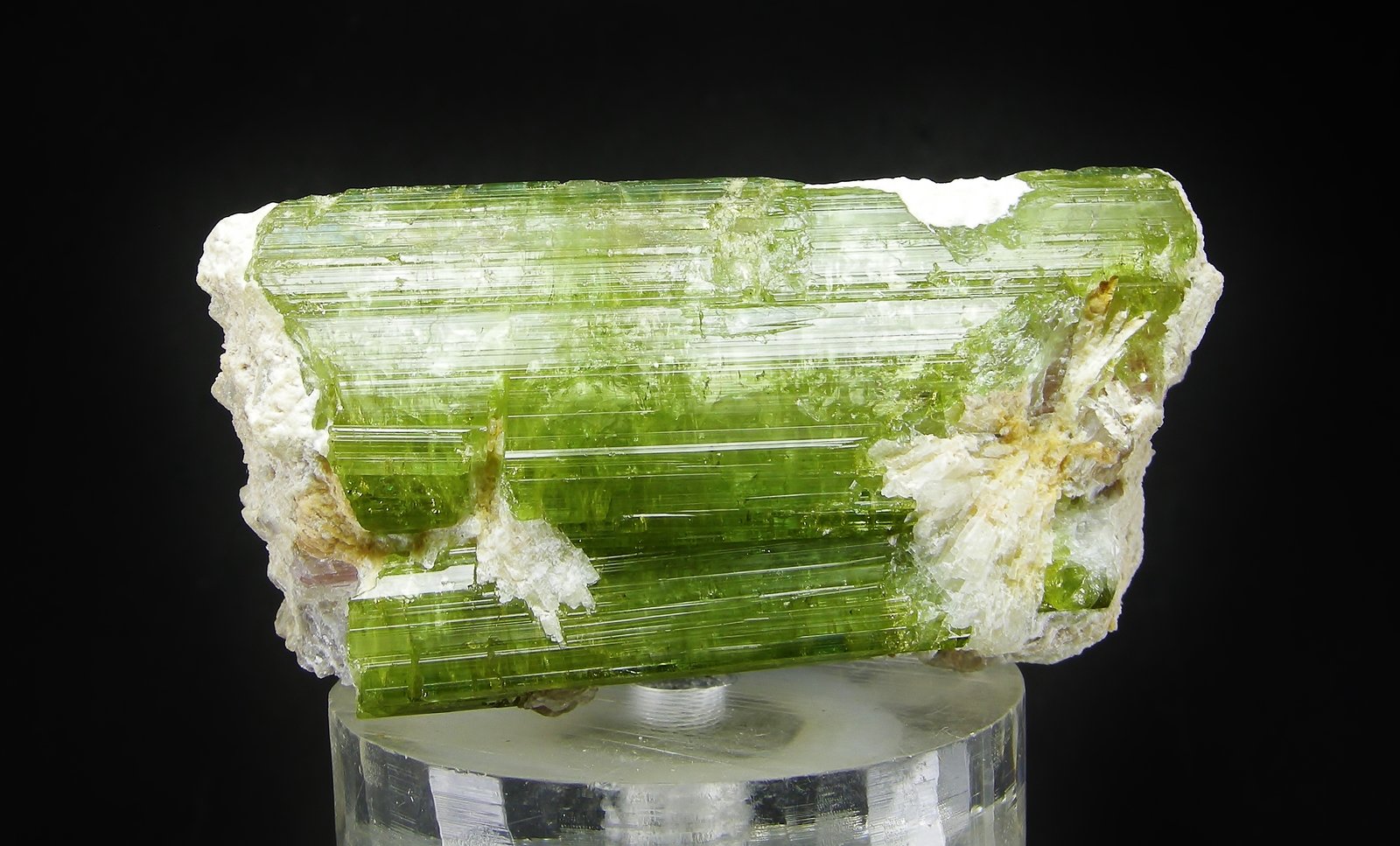 Elbaita (variedad verdelita)
6.5 x 3.3 cm
(Autor: Diego Navarro)