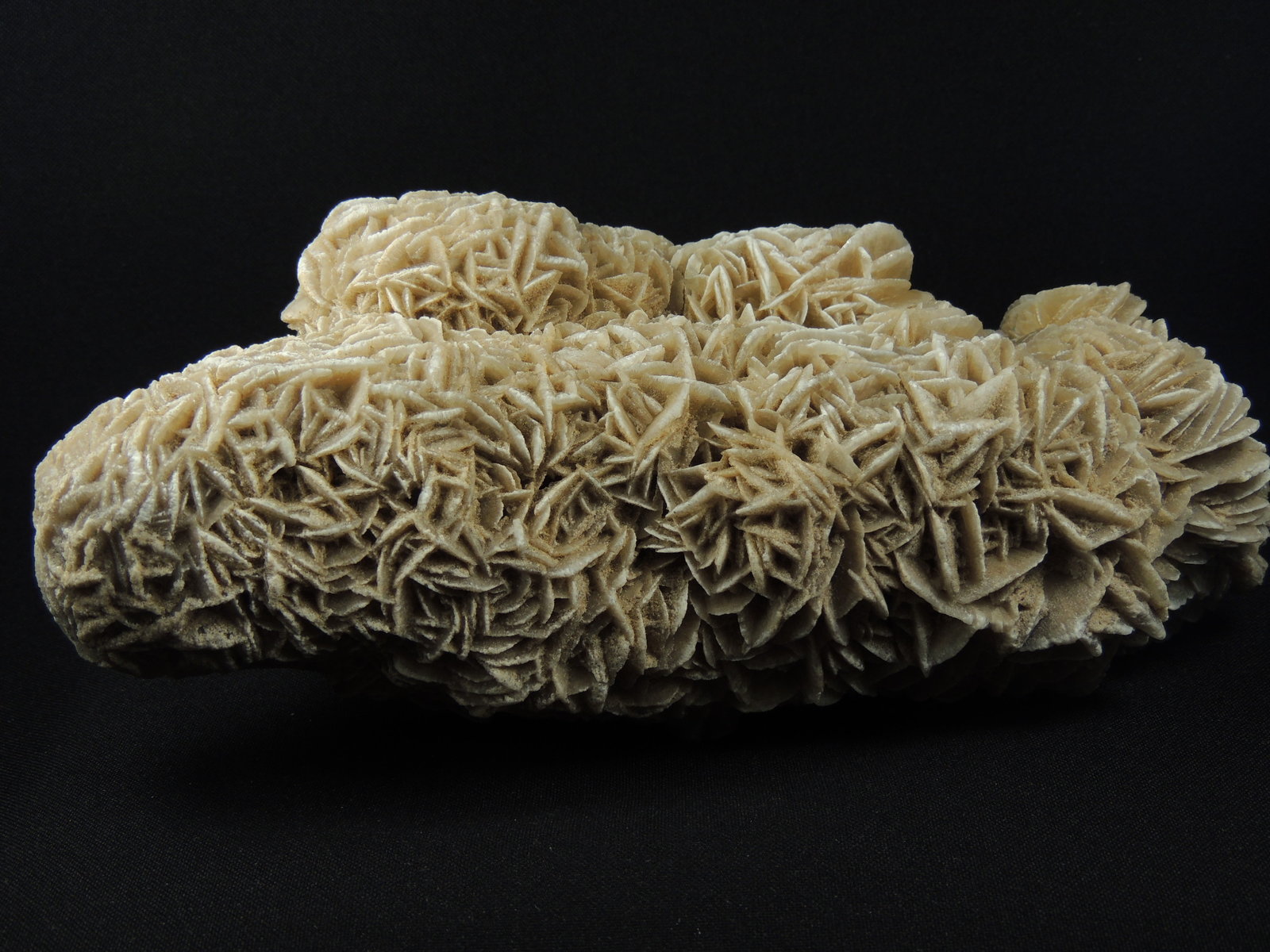 Yeso
19.3 x 8 x 6 centimetros
(Autor: Ricardo Melendez)