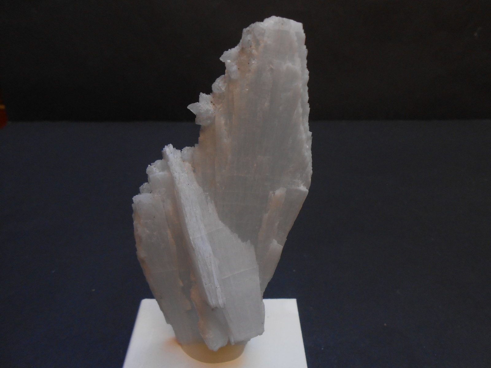 Anhidrita y Calcita
12 x 5 x 3 cm
(Autor: Antonio Alcaide)
