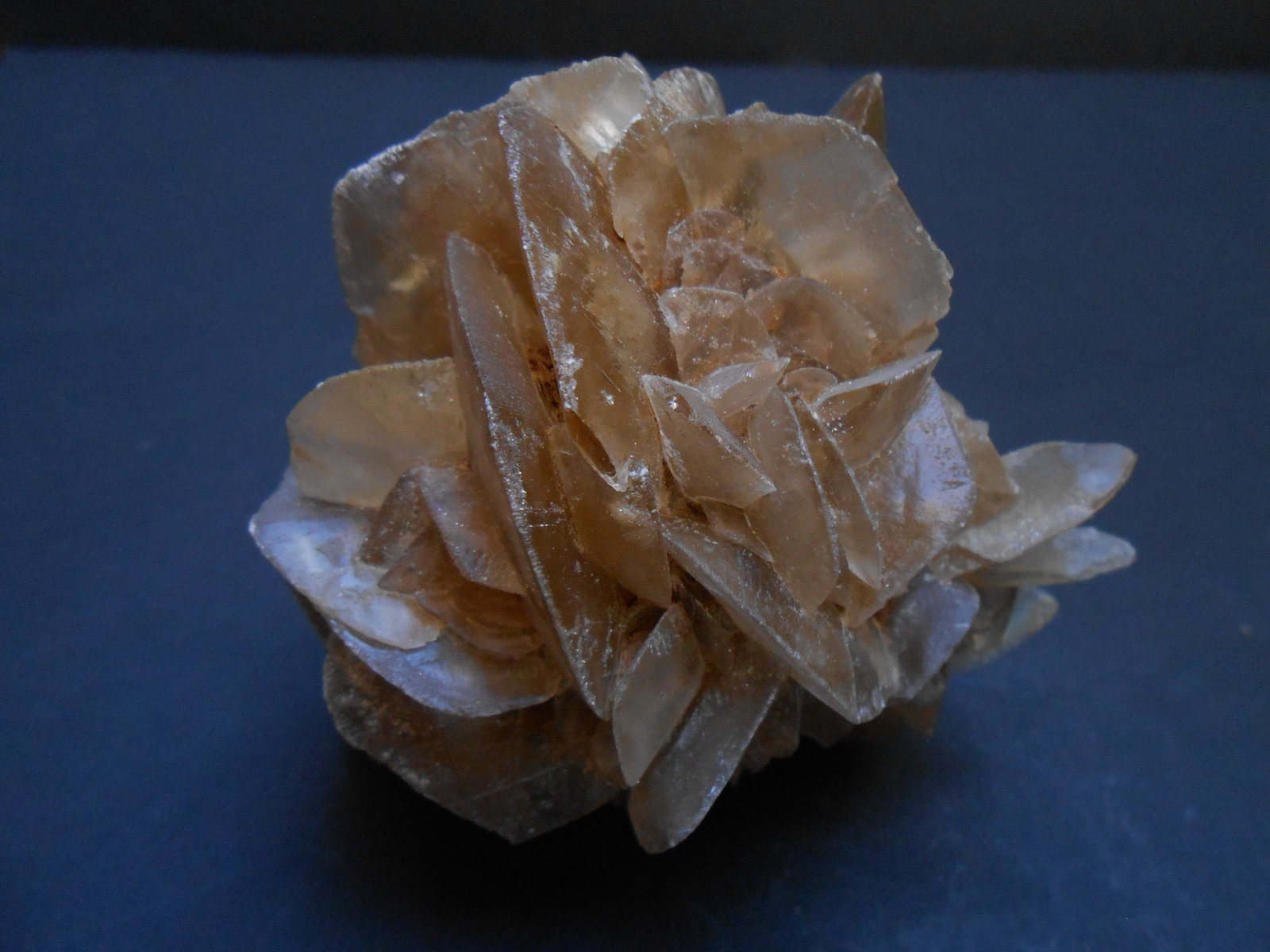 Yeso
8 x 8 x 6 cm
(Autor: Antonio Alcaide)
