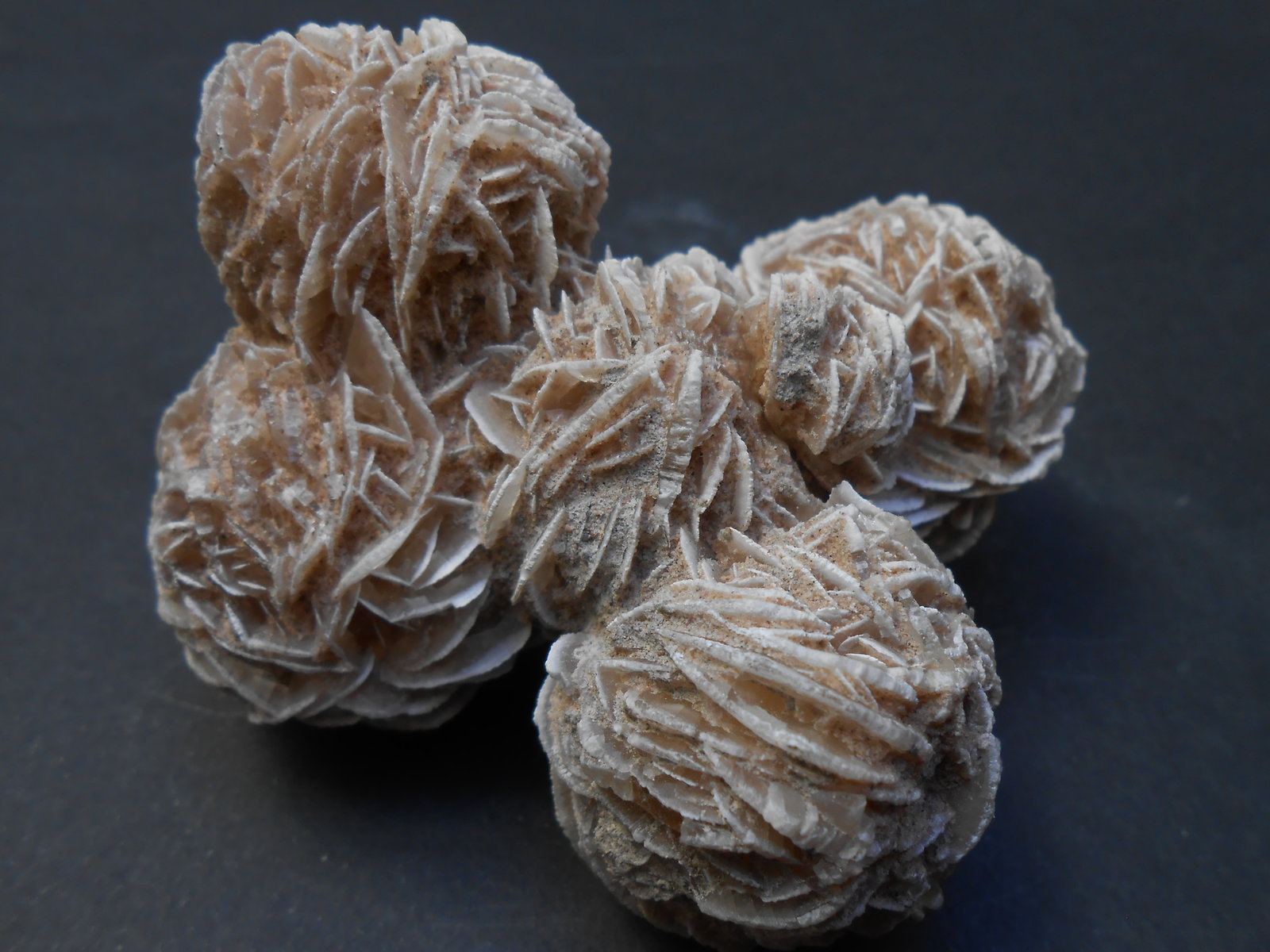 Yeso
8 x 6 x 4 cm
(Autor: Antonio Alcaide)