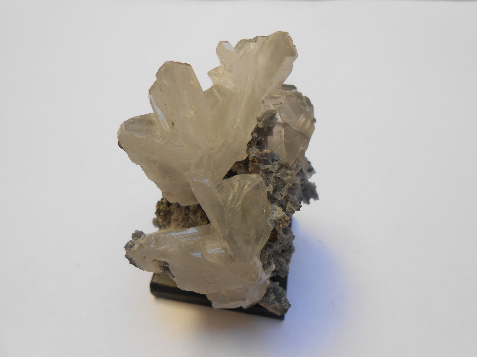 Cerusita
5 x 3,5 x 3 cm
(Autor: Antonio Alcaide)