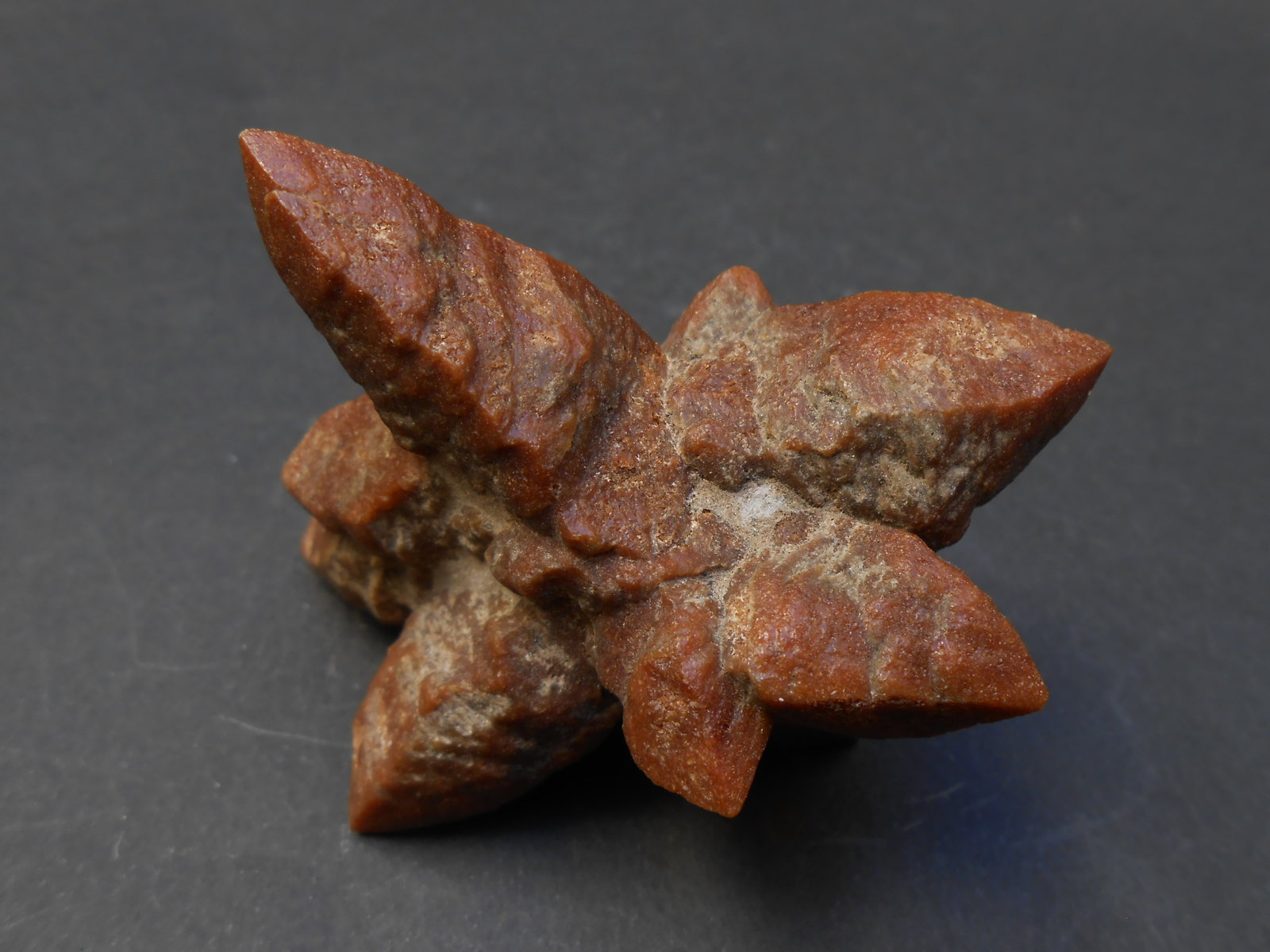 Calcita (variedad glendonita)
7,5 x 5 x 4 cm
(Autor: Antonio Alcaide)