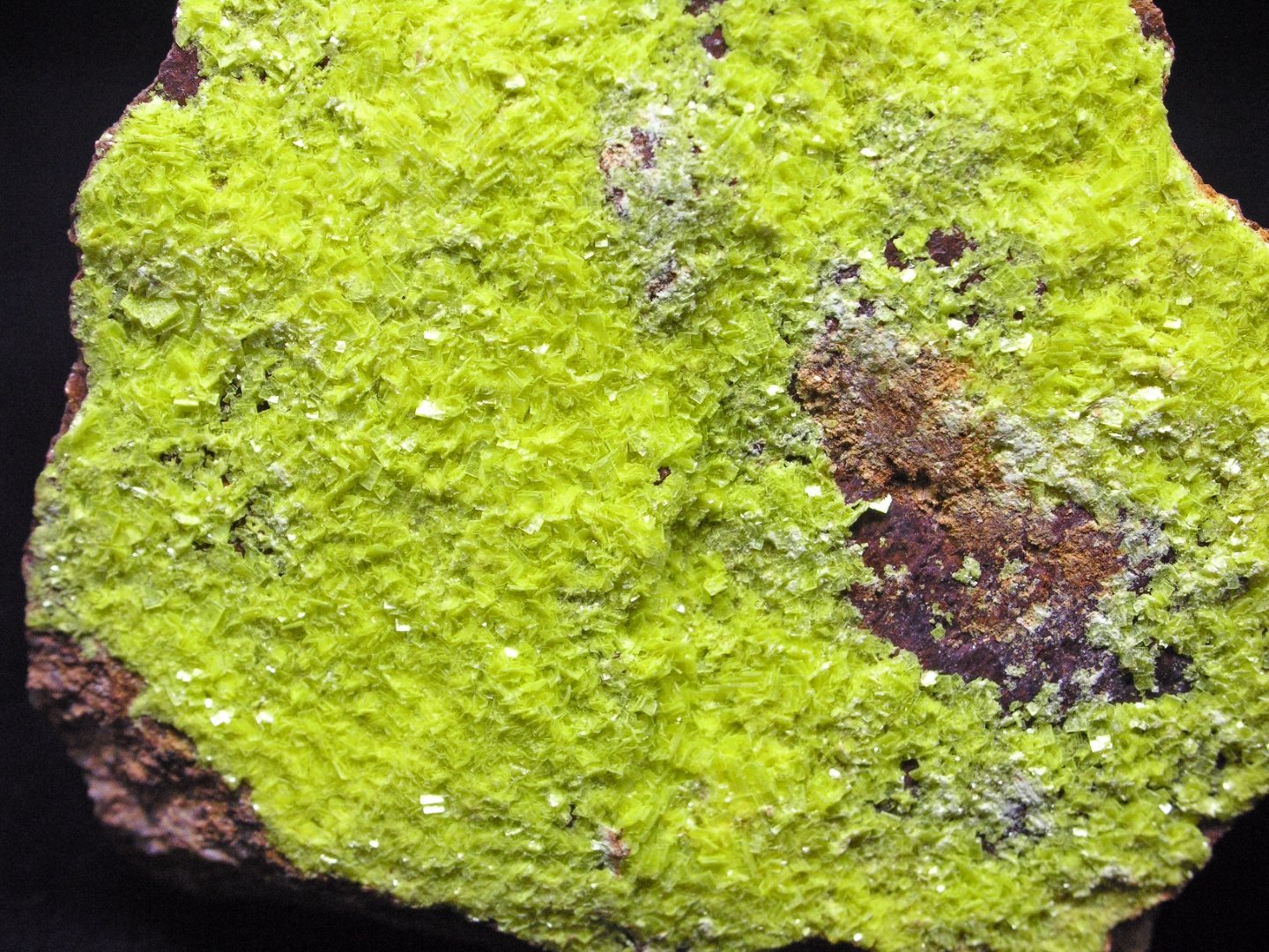 Autunita
ejemplar 10 cm
(Autor: Cesar M. Salvan)