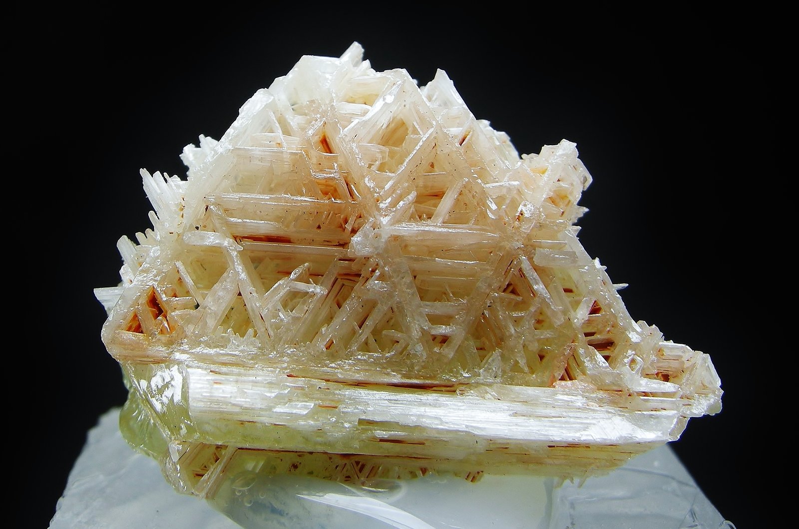 Cerusita
2.8 x 2.2 cm
(Autor: Diego Navarro)