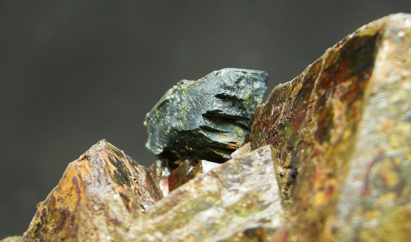 Bournonita + Siderita
6 x 3.7 cm
(Autor: Diego Navarro)