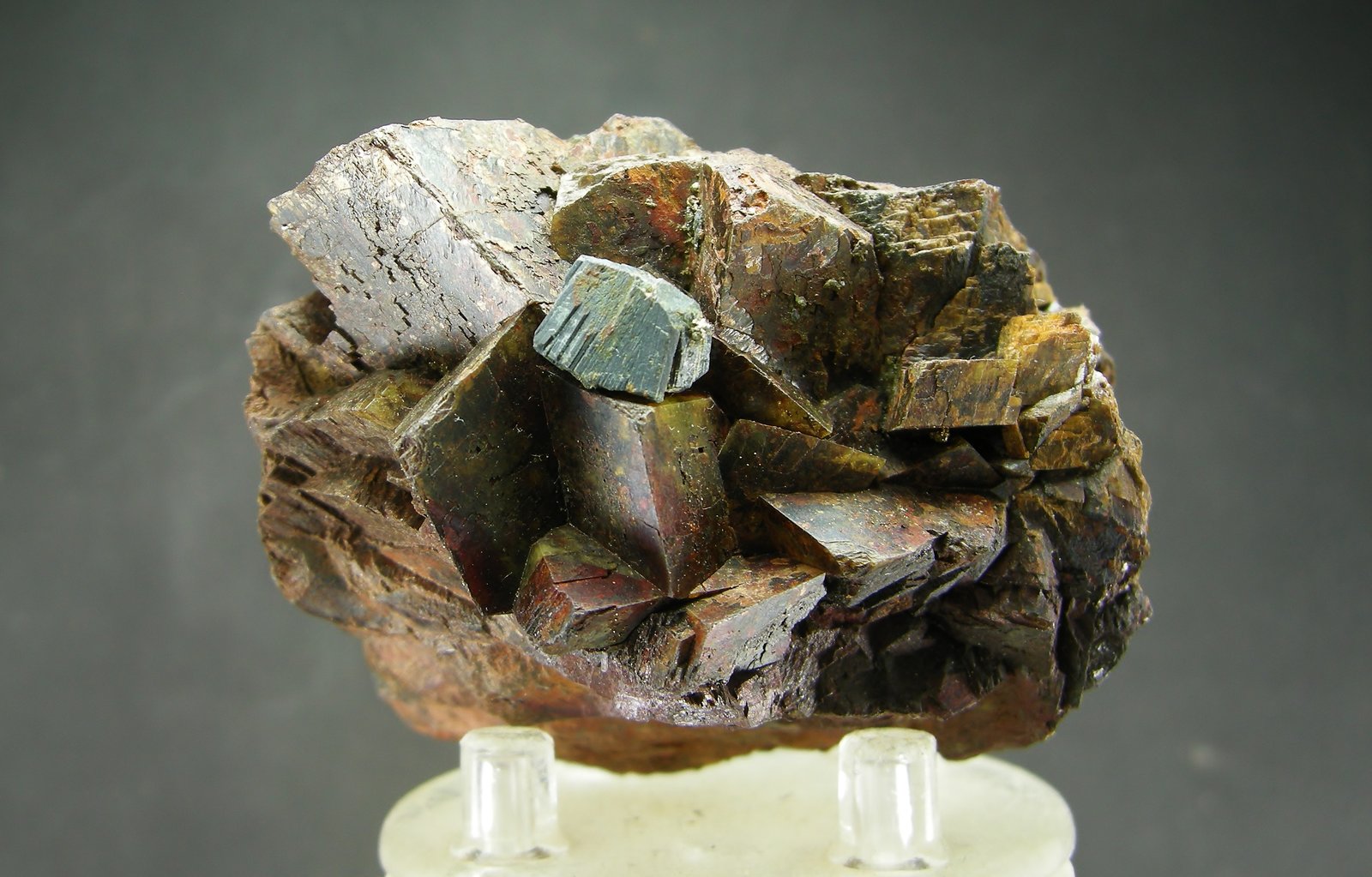 Bournonita + Siderita
6 x 3.7 cm
(Autor: Diego Navarro)