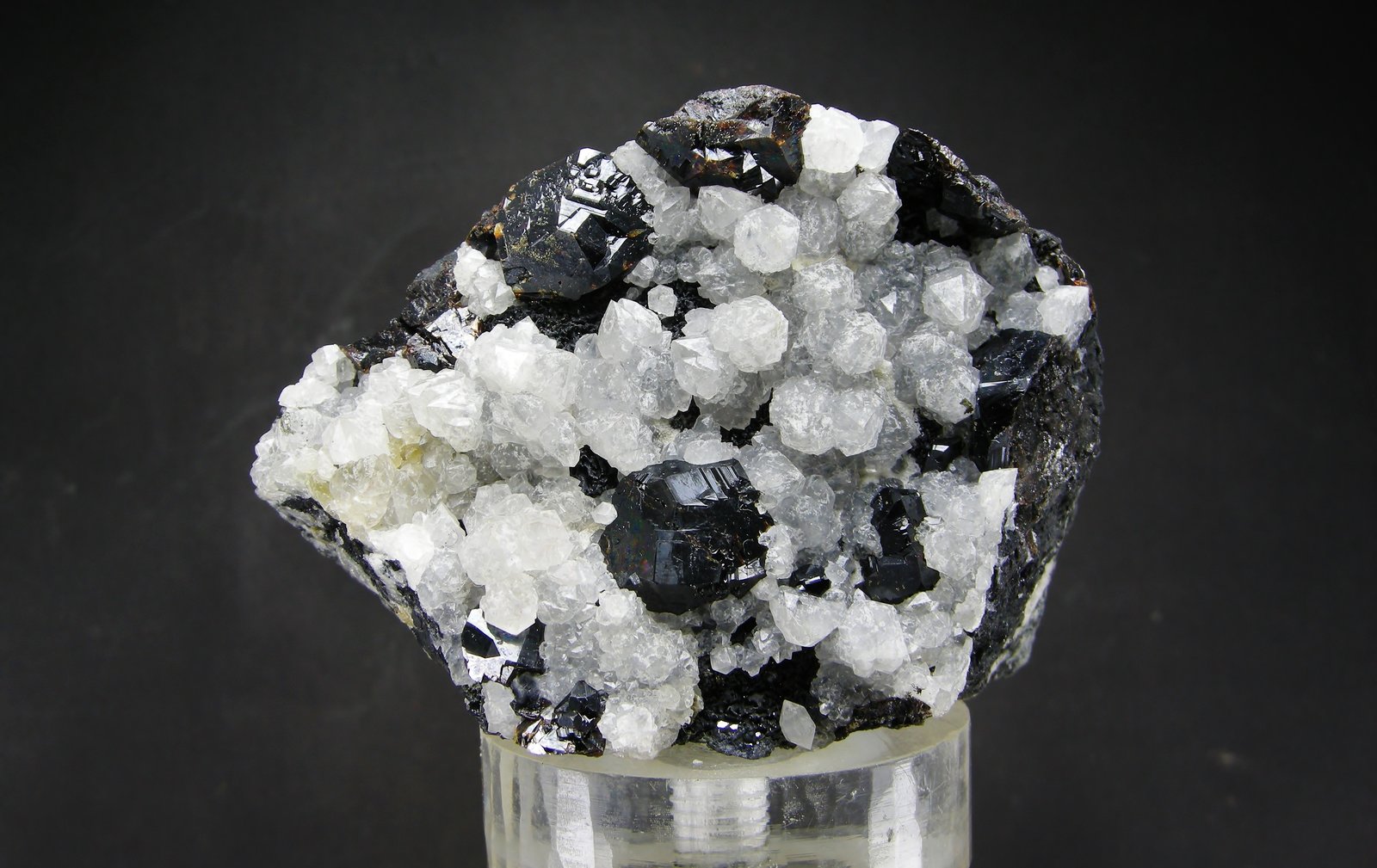 Esfalerita + Cuarzo
8 x 5.7 cm
(Autor: Diego Navarro)