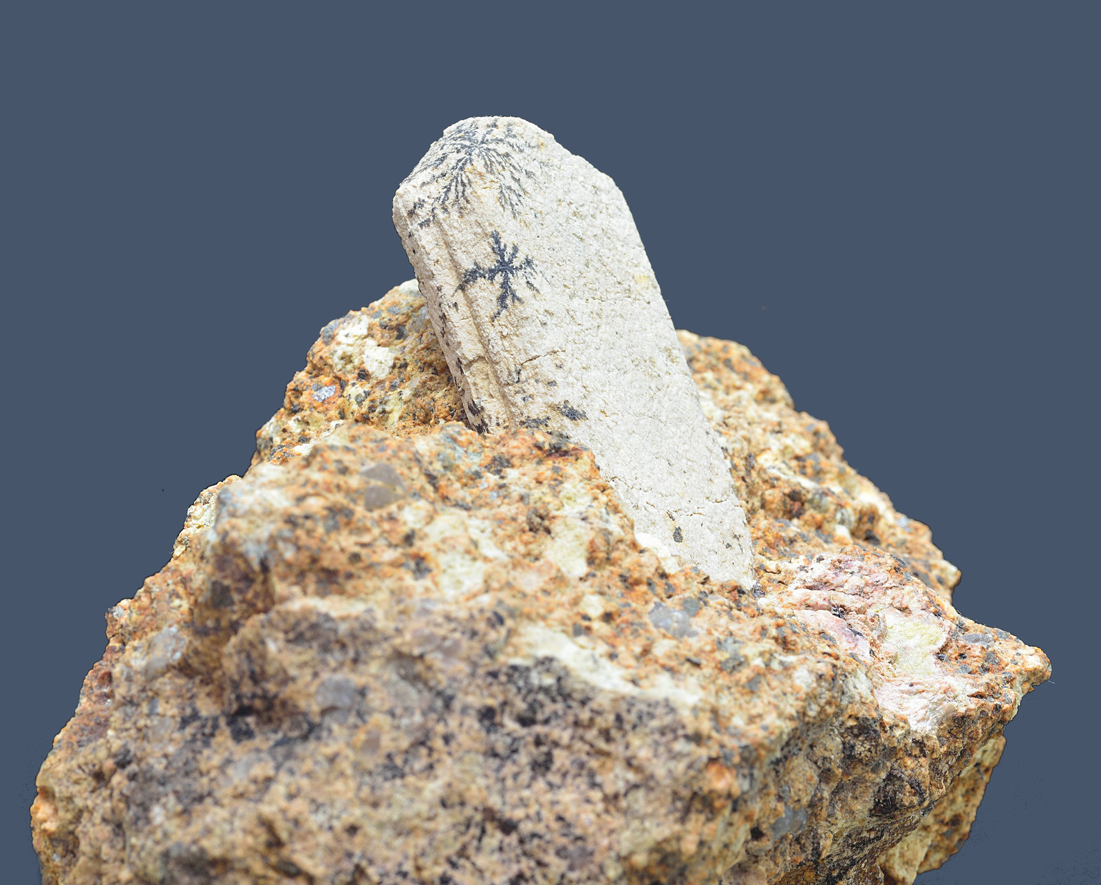 Ortoclasa
Cristal de 48x23x9mm
(Autor: Antonio Carmona)