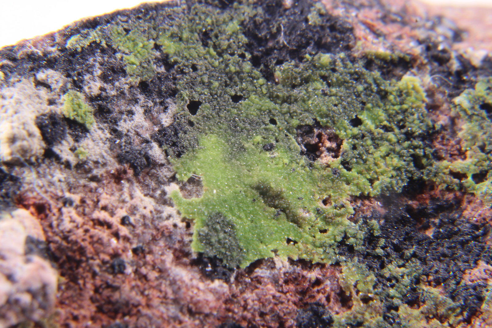Duftita
29 x 25 x 15 mm
(Autor: José Luis Zamora)