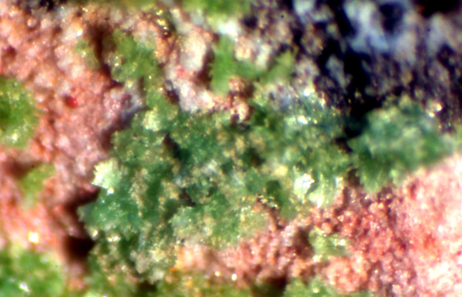 Duftita
2 mm
(Autor: José Luis Zamora)