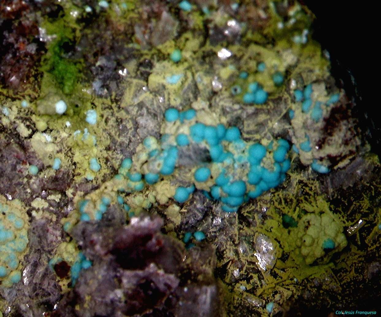 Duftita y Crisocola.
5´746 x 4´579 mm.
(Autor: Jesus Franquesa Baucells)