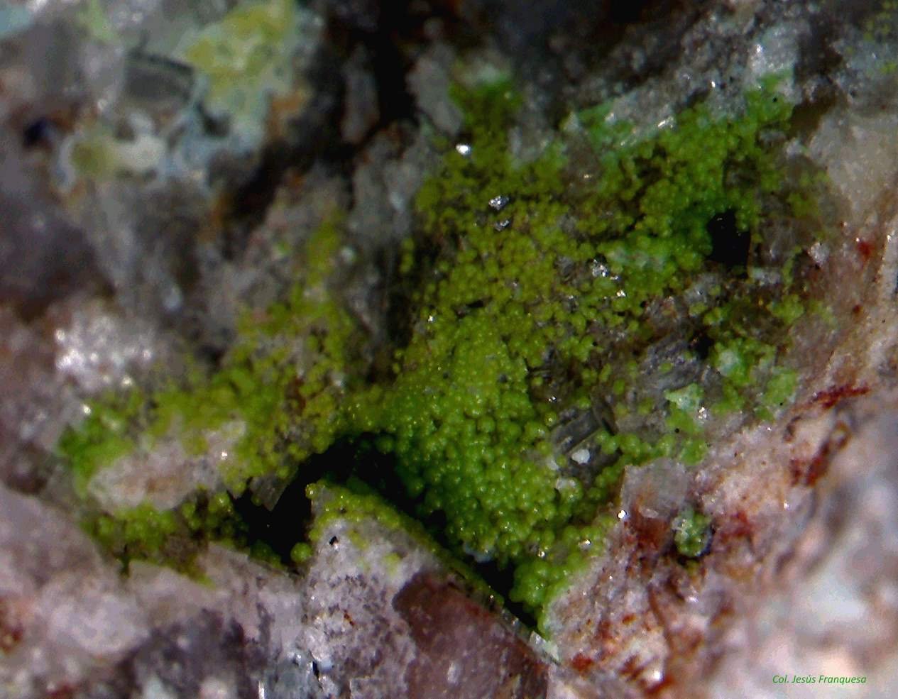 Duftita.
4´519x 3´462 mm.
(Autor: Jesus Franquesa Baucells)