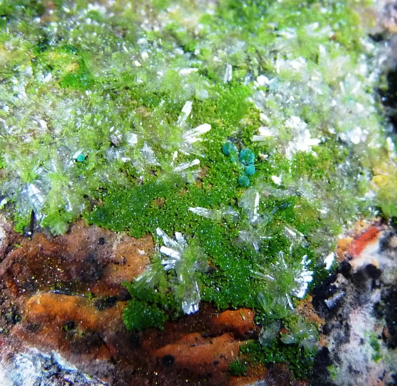 Duftita, Rosasita y Hemimorfita.
50x40 mm.
(Autor: Jesus Franquesa Baucells)