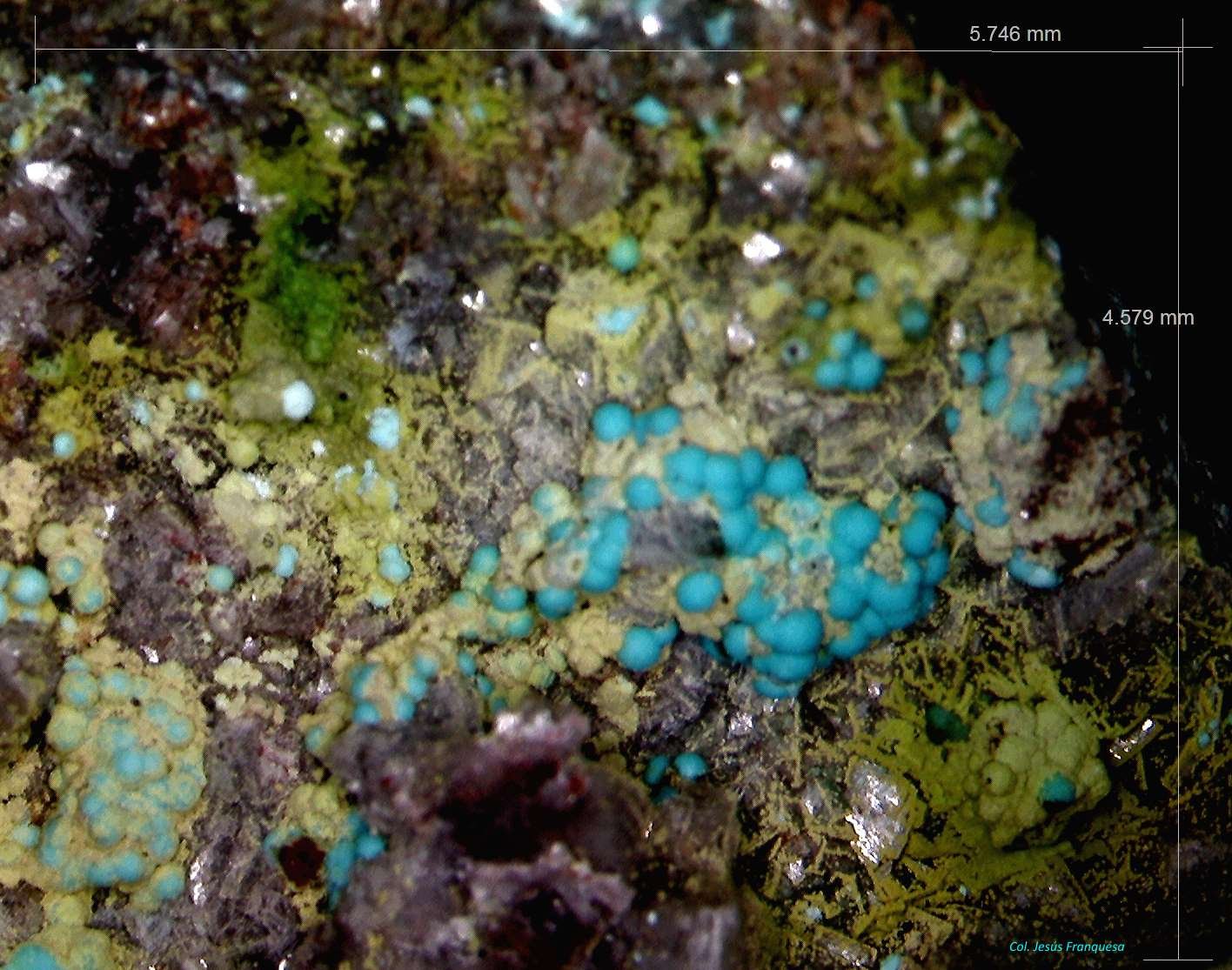 Duftita y Crisocola.
5´746 x 4´579 mm.
(Autor: Jesus Franquesa Baucells)
