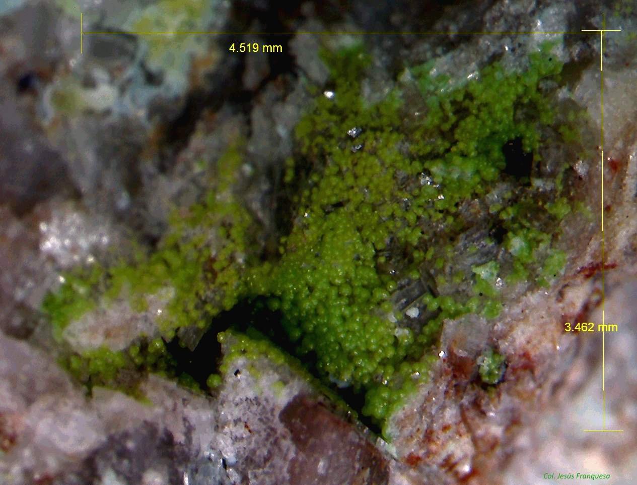 Duftita.
4´519x 3´462 mm.
(Autor: Jesus Franquesa Baucells)