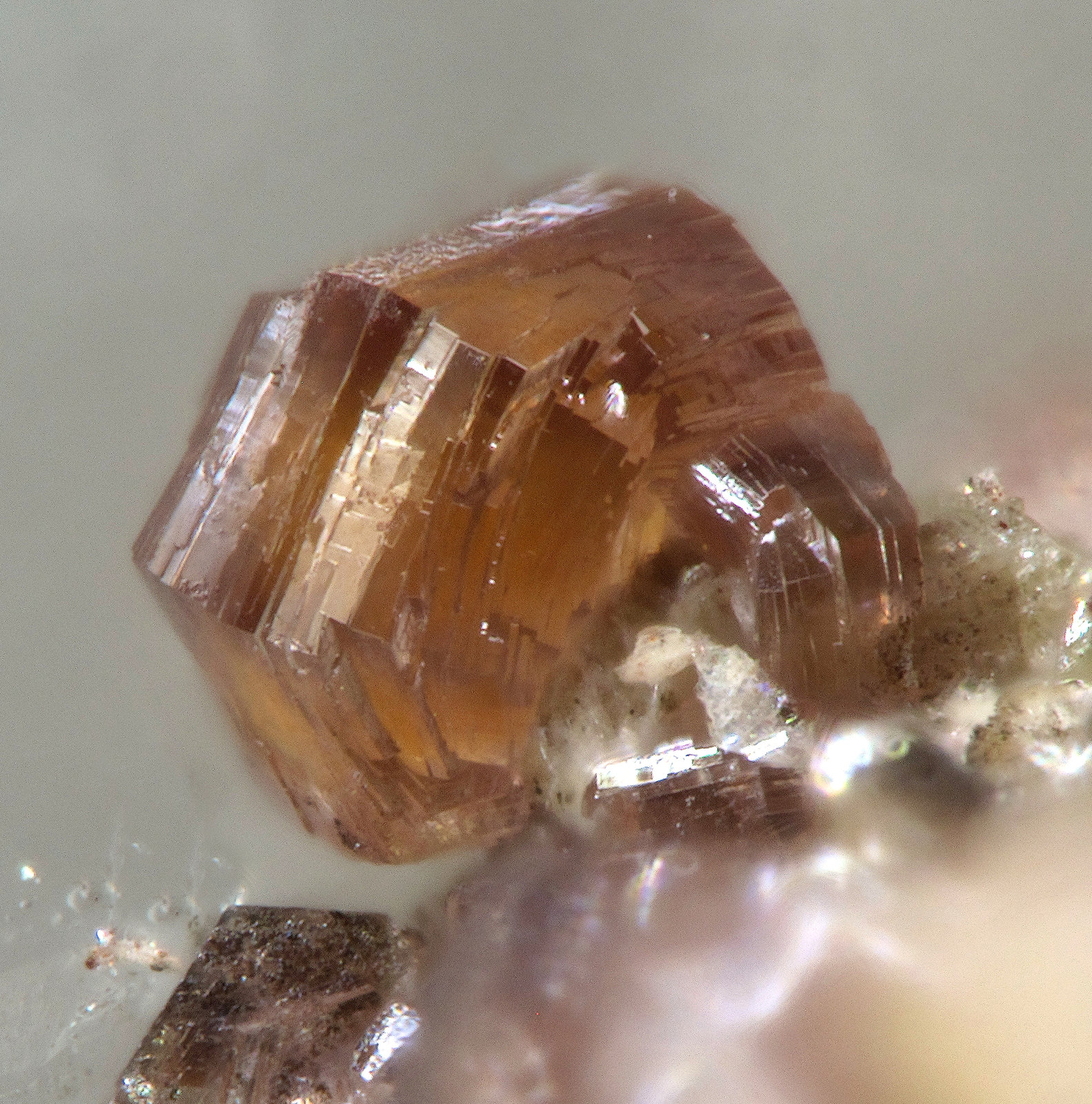 Dugganita
fov 0.7 mm
(Autor: Antonio P. López)