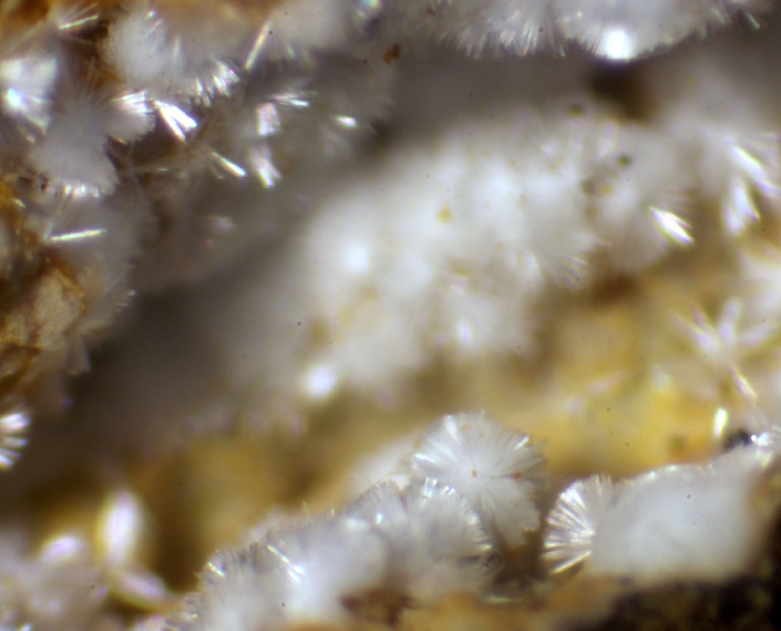 Dundasita
< 1 mm
(Autor: José Luis Zamora)