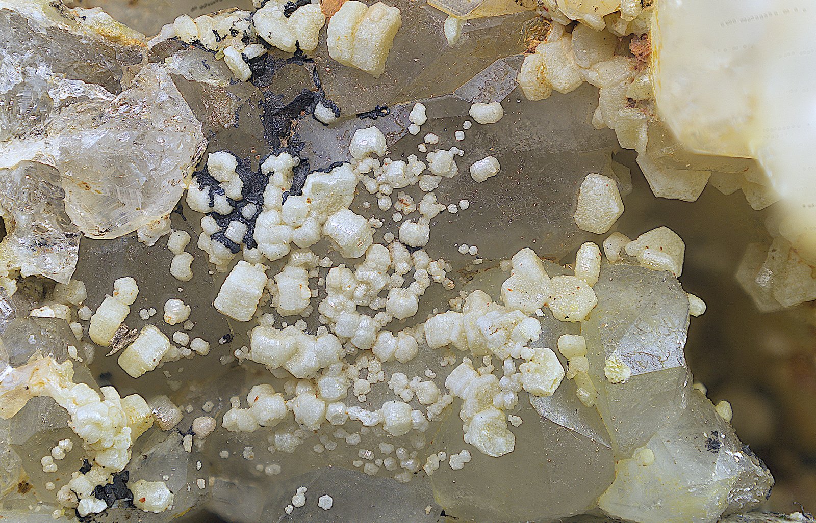 Mimetita
Campo de visión de 15 mm.
(Autor: Antonio Carmona)