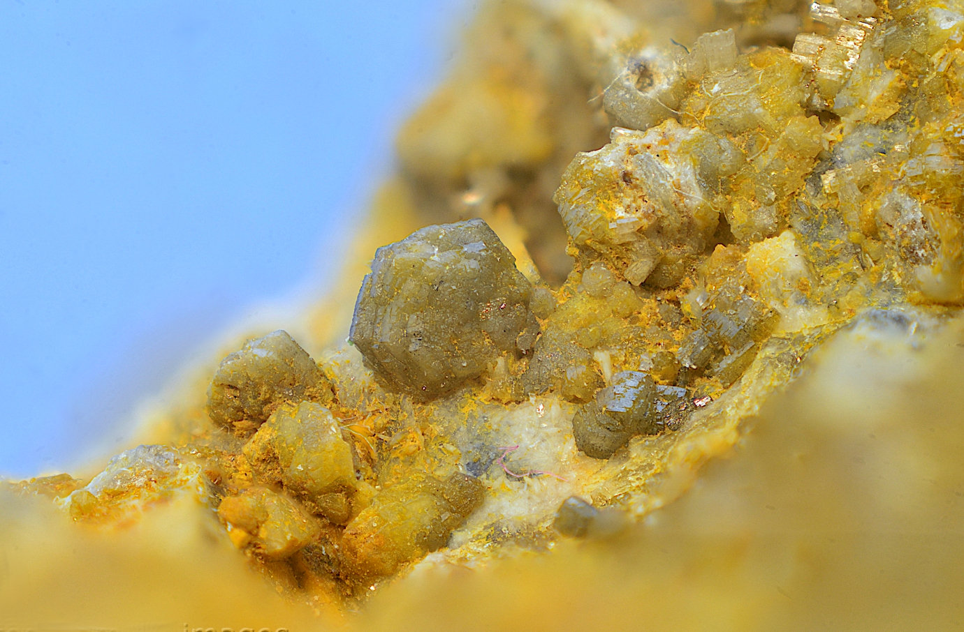 Mimetita
Campo de visión de 10 mm
(Autor: Antonio Carmona)