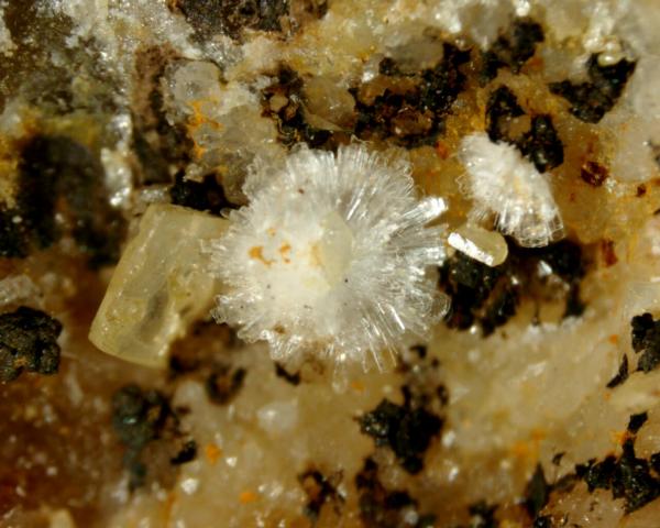 WULFENITA y HEMIMORFITA
Encuadre 5mm.
(Autor: Marc C)