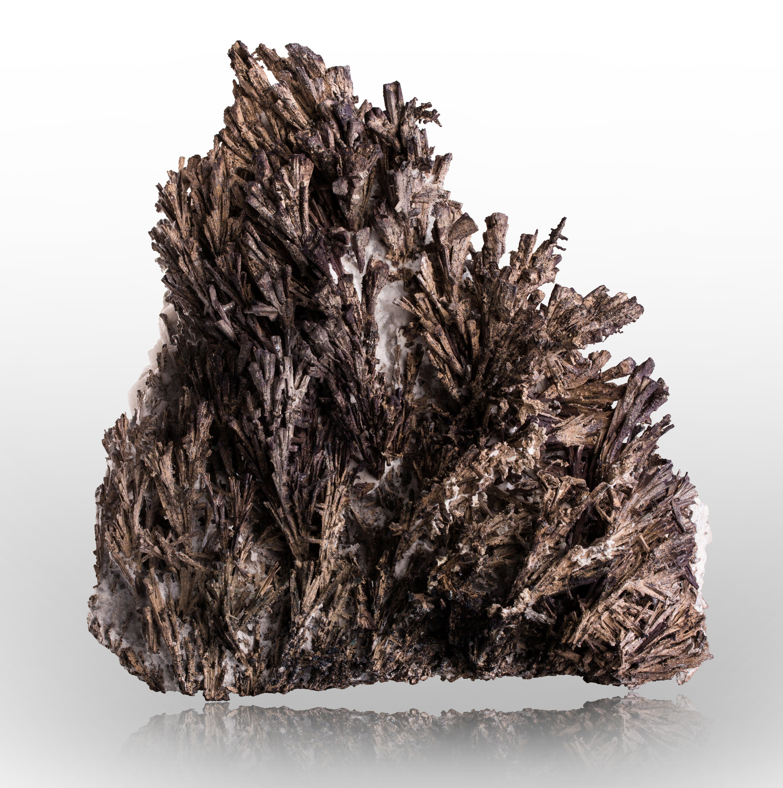 Dyscrasita
22 x 10 x 22 cm / cristal principal: 7.5 cm
(Autor: Museo MIM)