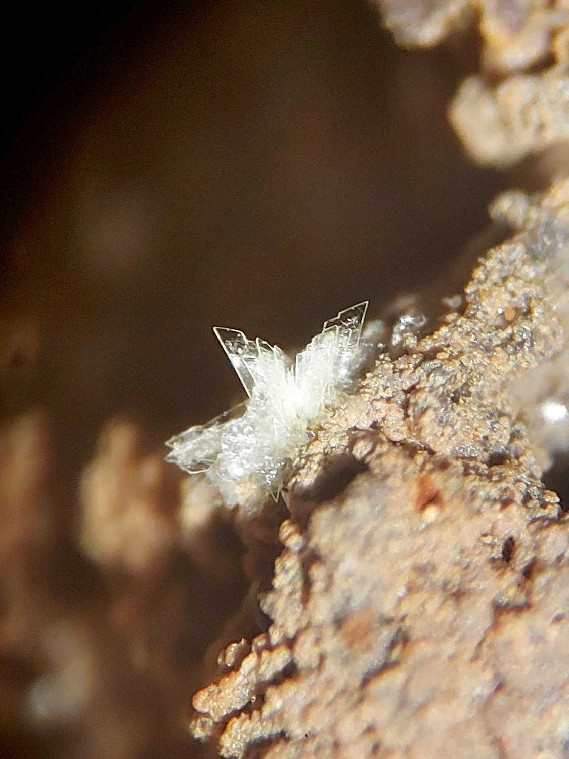 Montgomeryita
CV 4x7 mm
(Autor: Joan Niella)