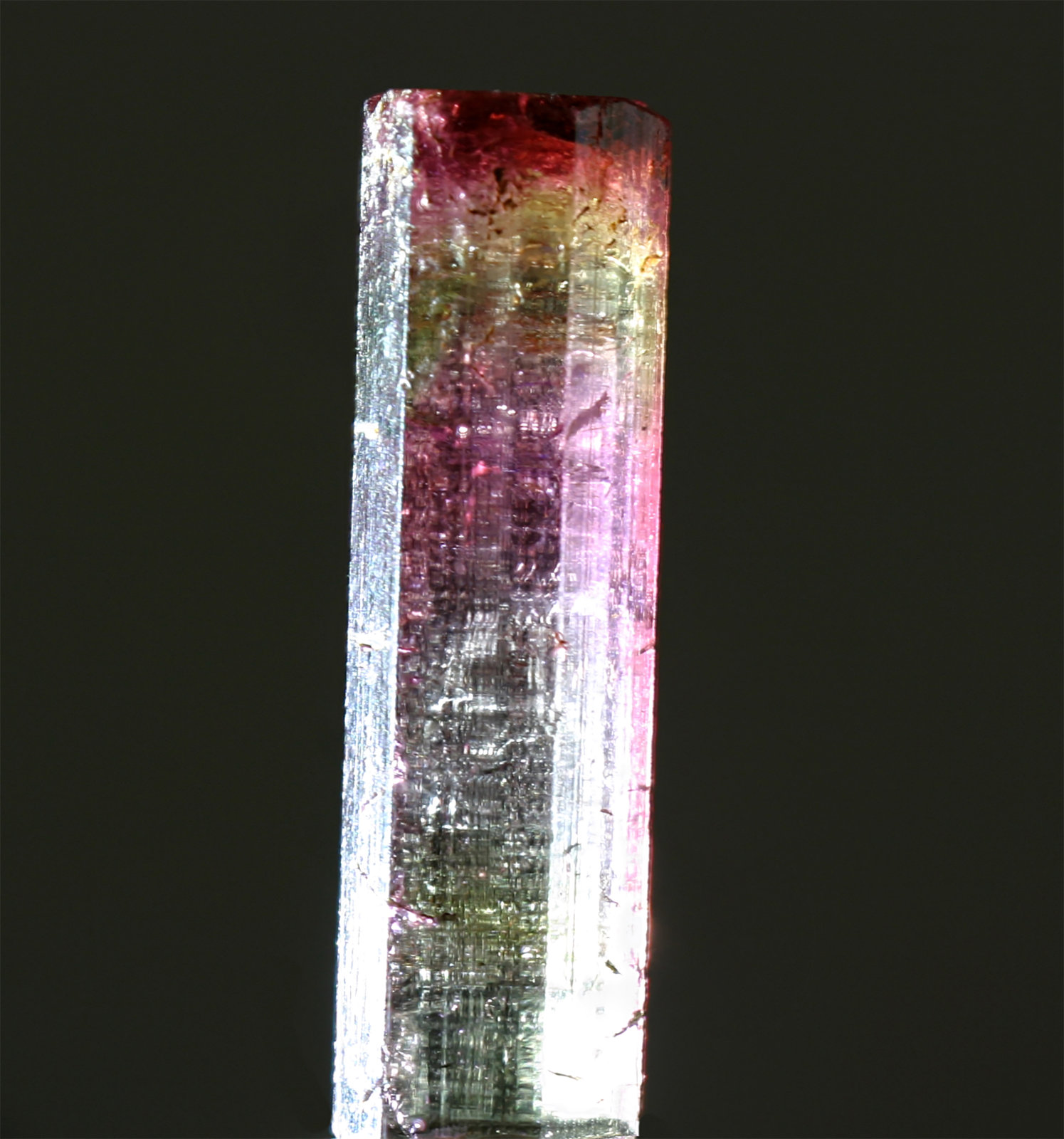 Elbaita
8x40 mm
(Autor: Ramon A  Lopez Garcia)