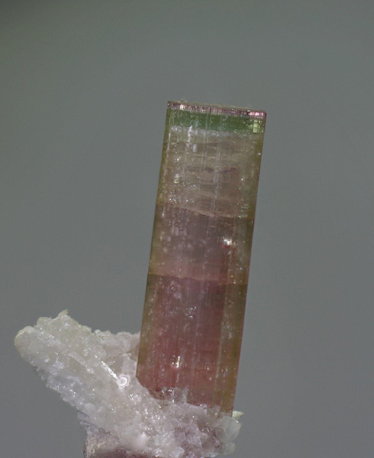 Elbaíta
12x52 mm
(Autor: Ramon A  Lopez Garcia)
