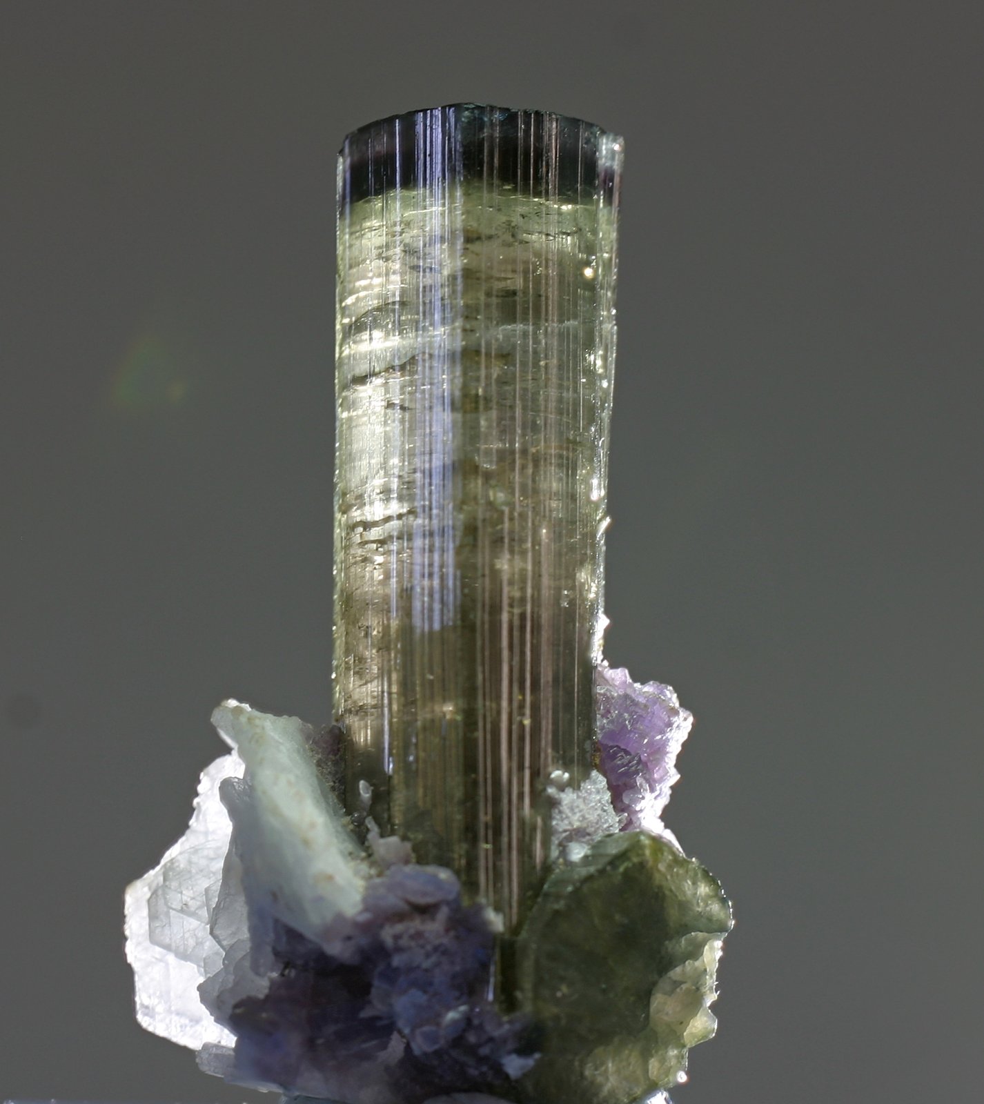 Elbaíta
cristal 12x50 mm
(Autor: Ramon A  Lopez Garcia)