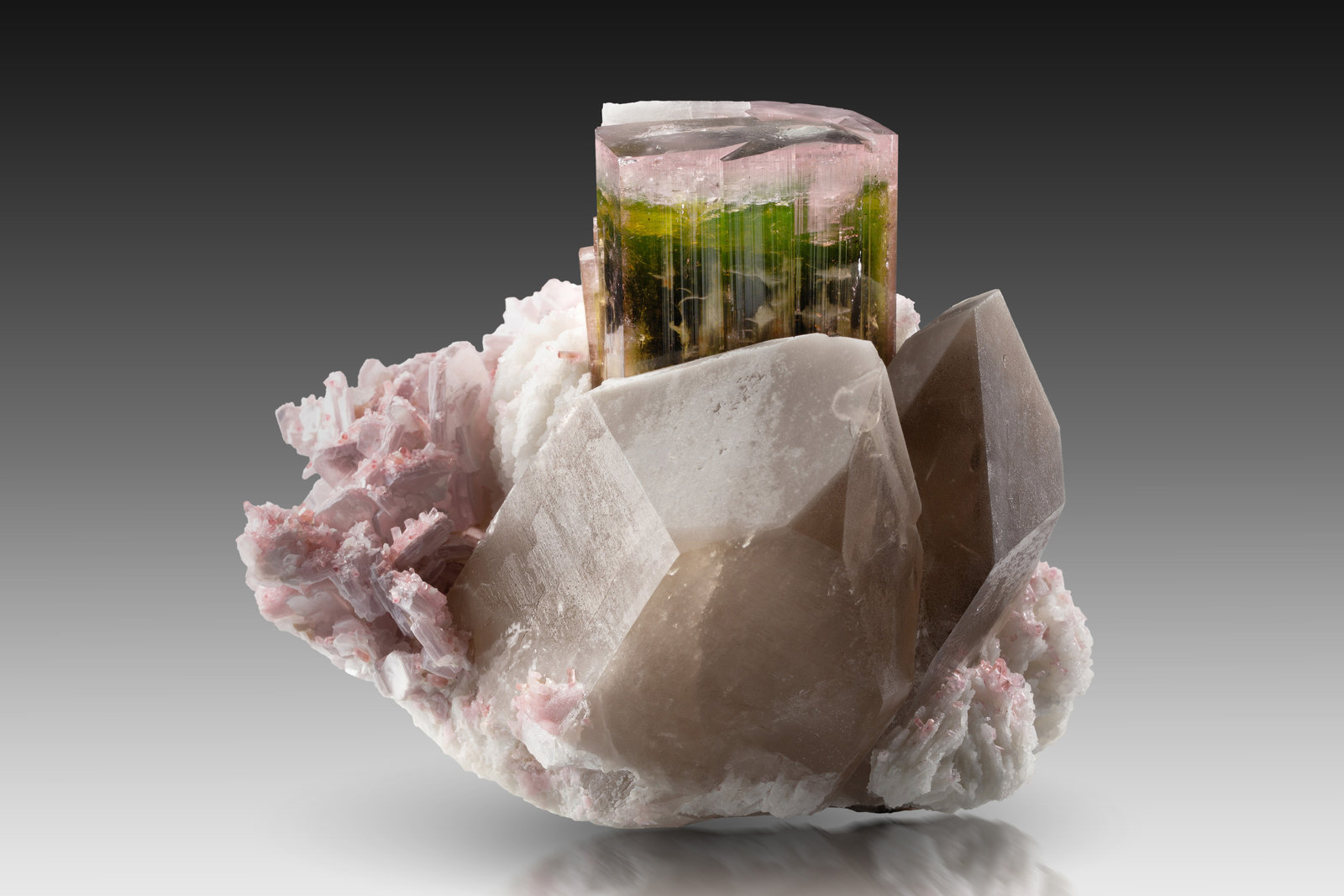 Elbaita
14 x 14 x 12 cm / cristal principal: 11.5 cm
(Autor: Museo MIM)
