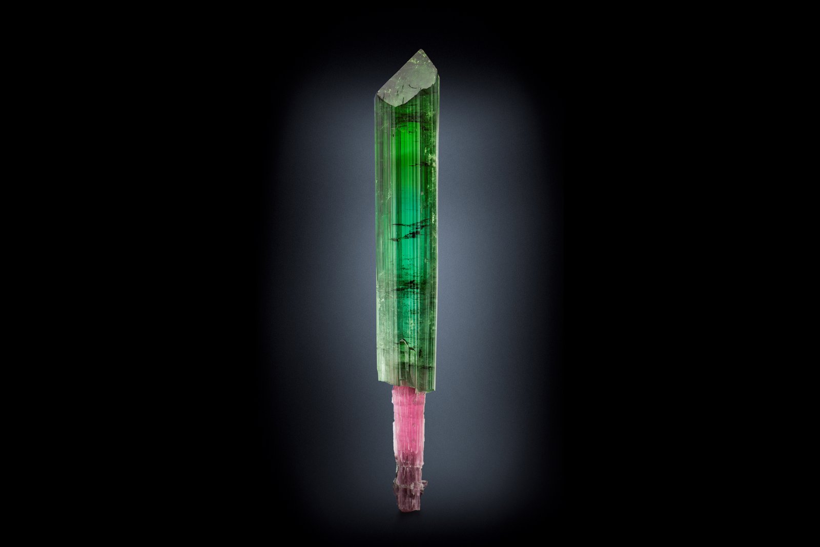 Elbaíta (variedad verdelita)
2 x 2 x 15 cm / Cristal principal: 14.6 cm.
(Autor: Museo MIM)