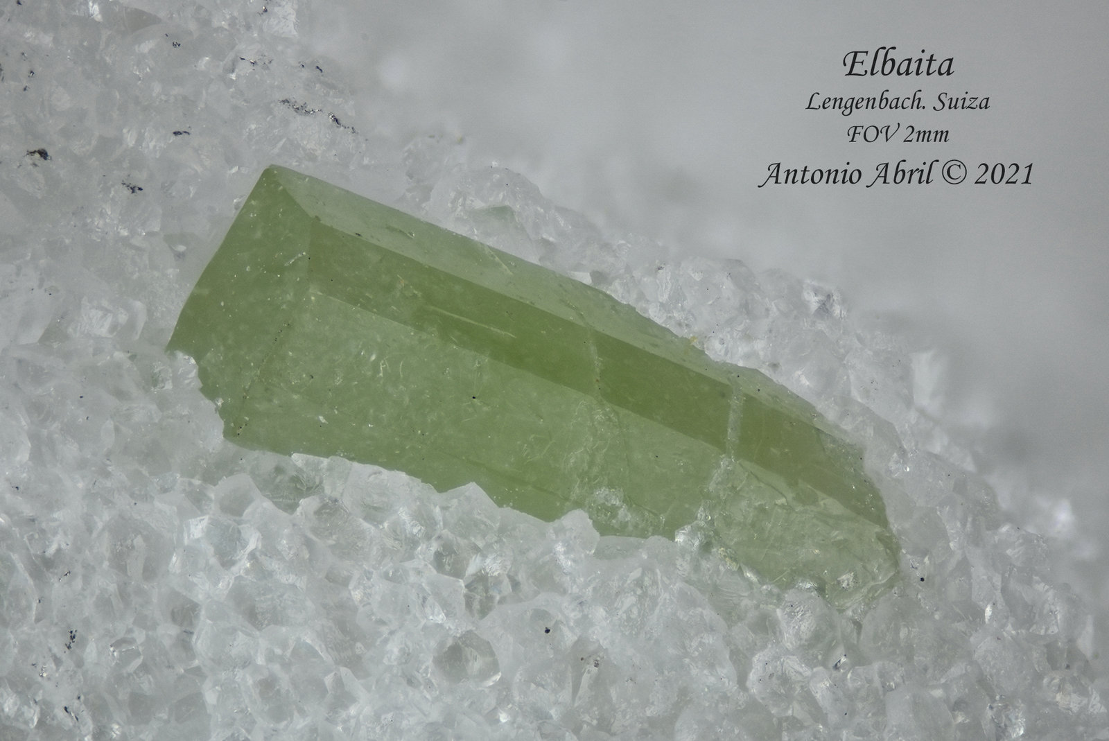 Elbaita
2 mm
(Autor: Antonio Abril)