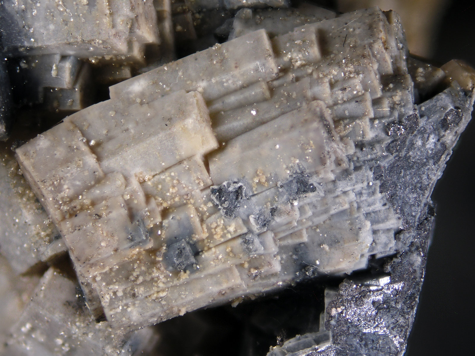Fosfohedifana
FOV 1.2 cm
(Autor: Cesar M. Salvan)