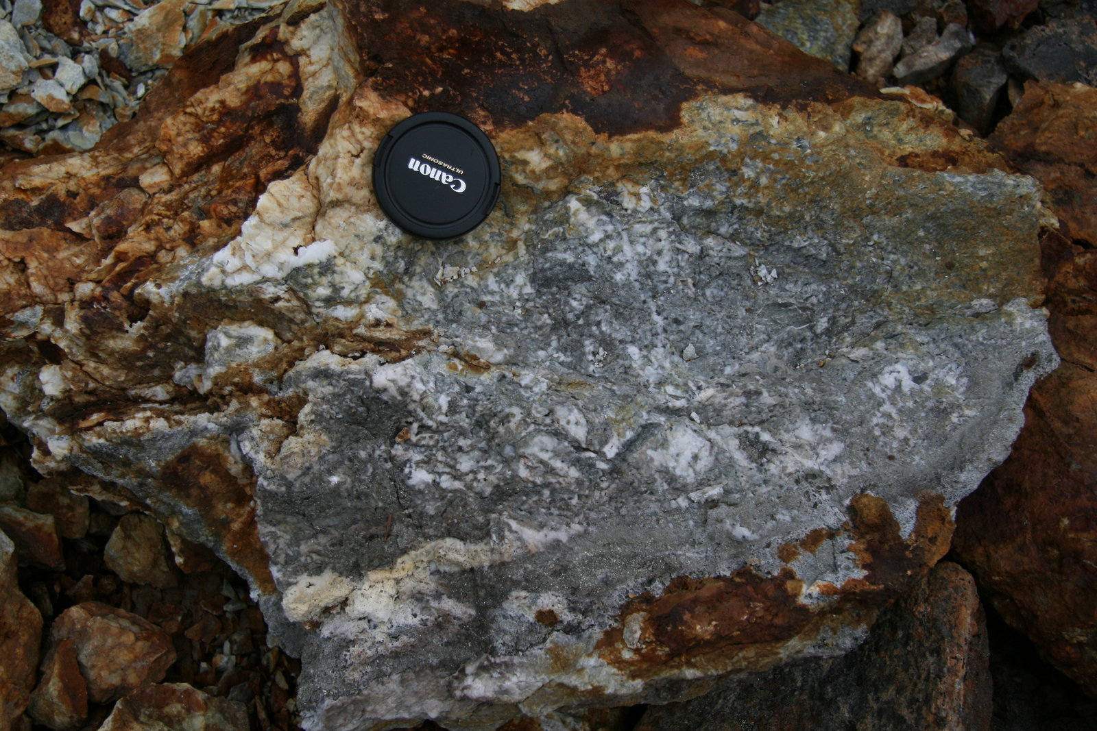 Electrum_Veins 027.jpg
