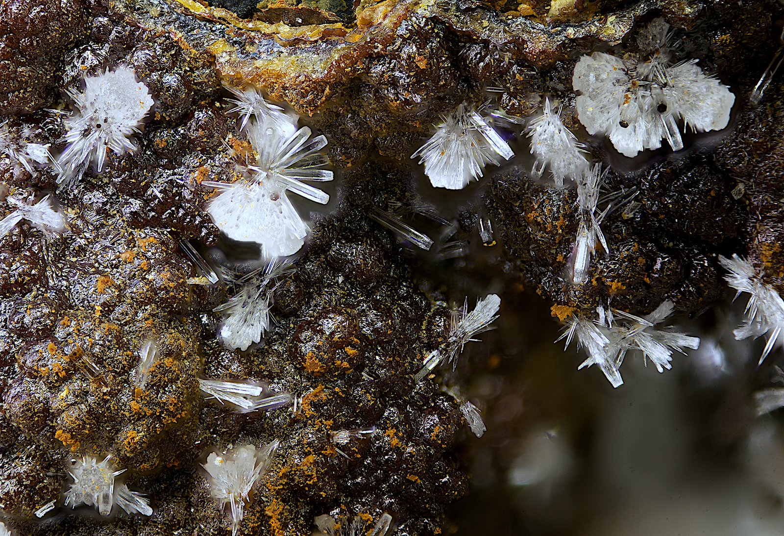 Fluorapatito
Campo de visión de  3 mm.
(Autor: Antonio Carmona)