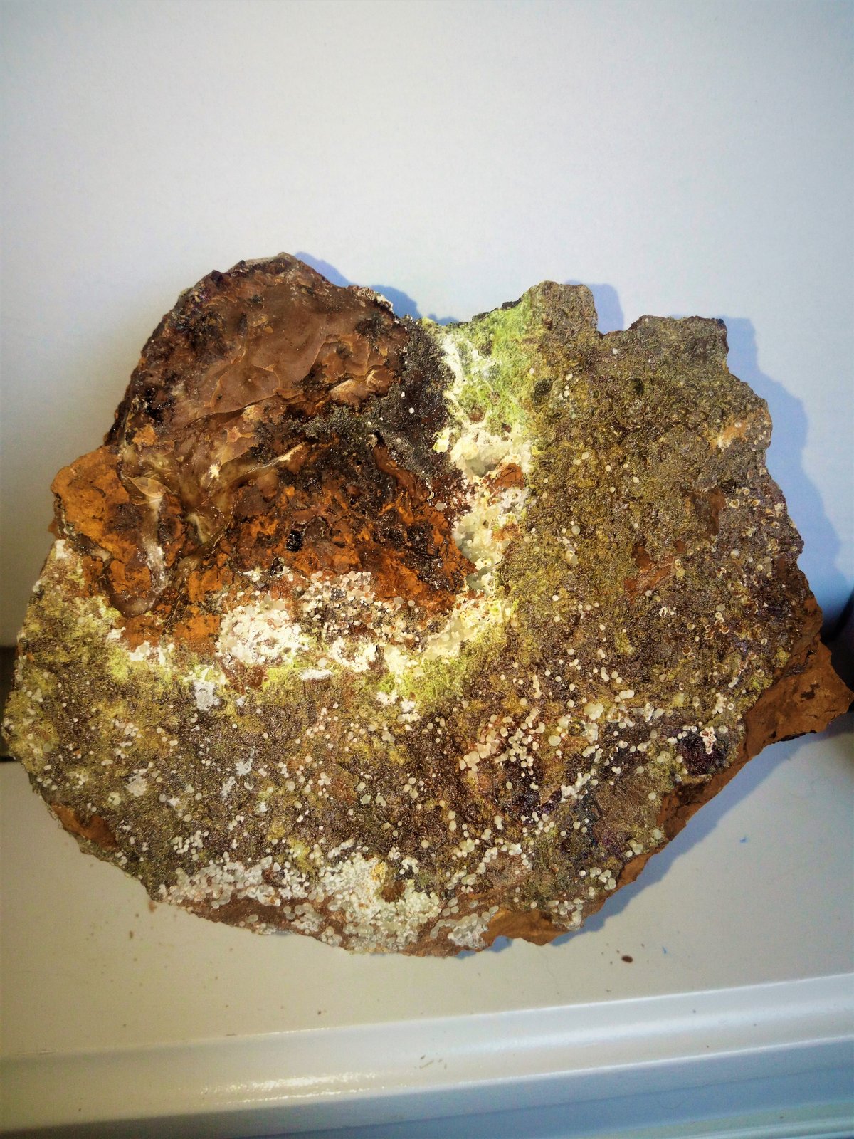 Delvauxita, Calcioferrita, Fluorapatito (variedad carbonato-fluorapatito)
13x11cm.
(Autor: Adri Rodríguez)