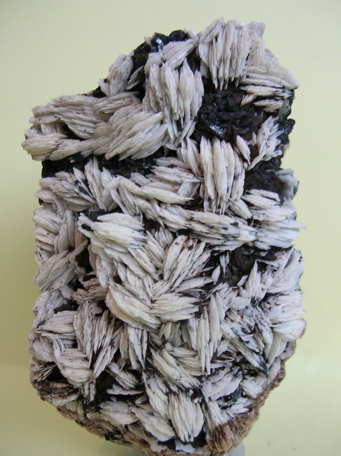 Baritina
10 x 5,5 cm
(Autor: Pedro Conesa)