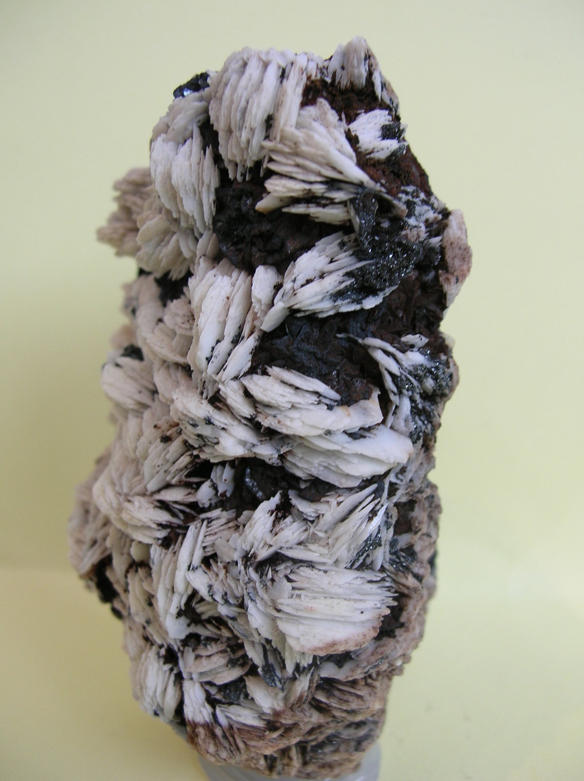 Baritina
10 x 5,5 cm
(Autor: Pedro Conesa)