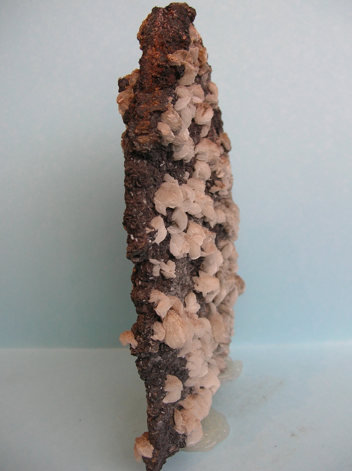 Baritina
18 x 11 cm
(Autor: Pedro Conesa)